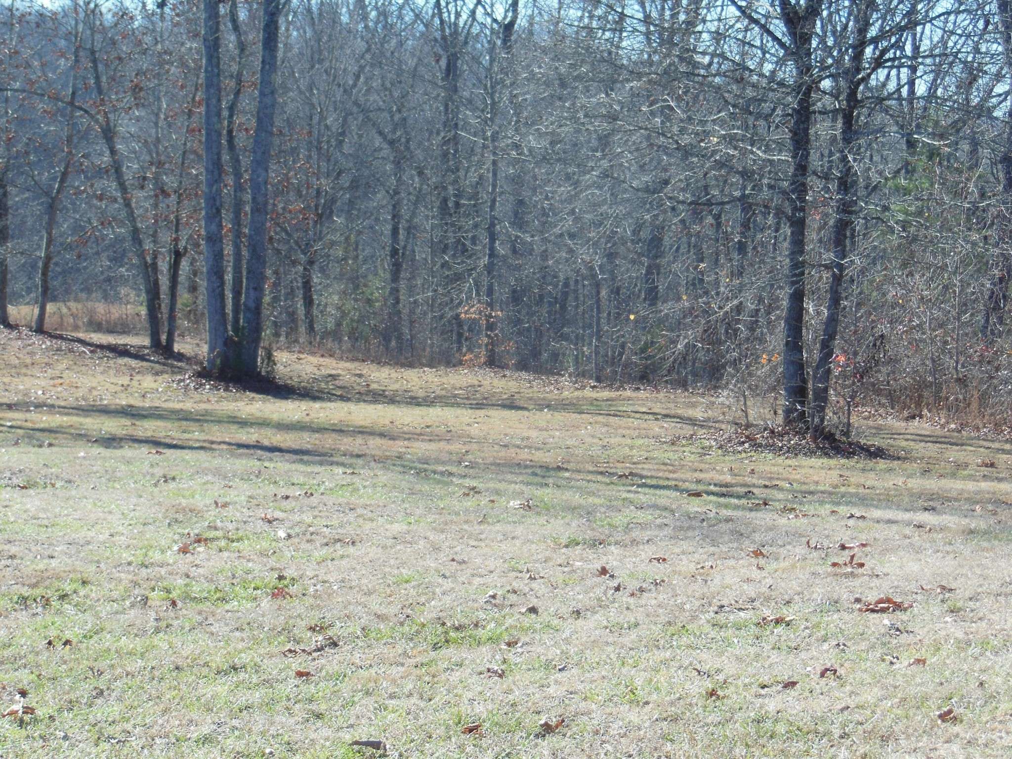 140 Quail Hollow Cove, Spring City, TN 37381