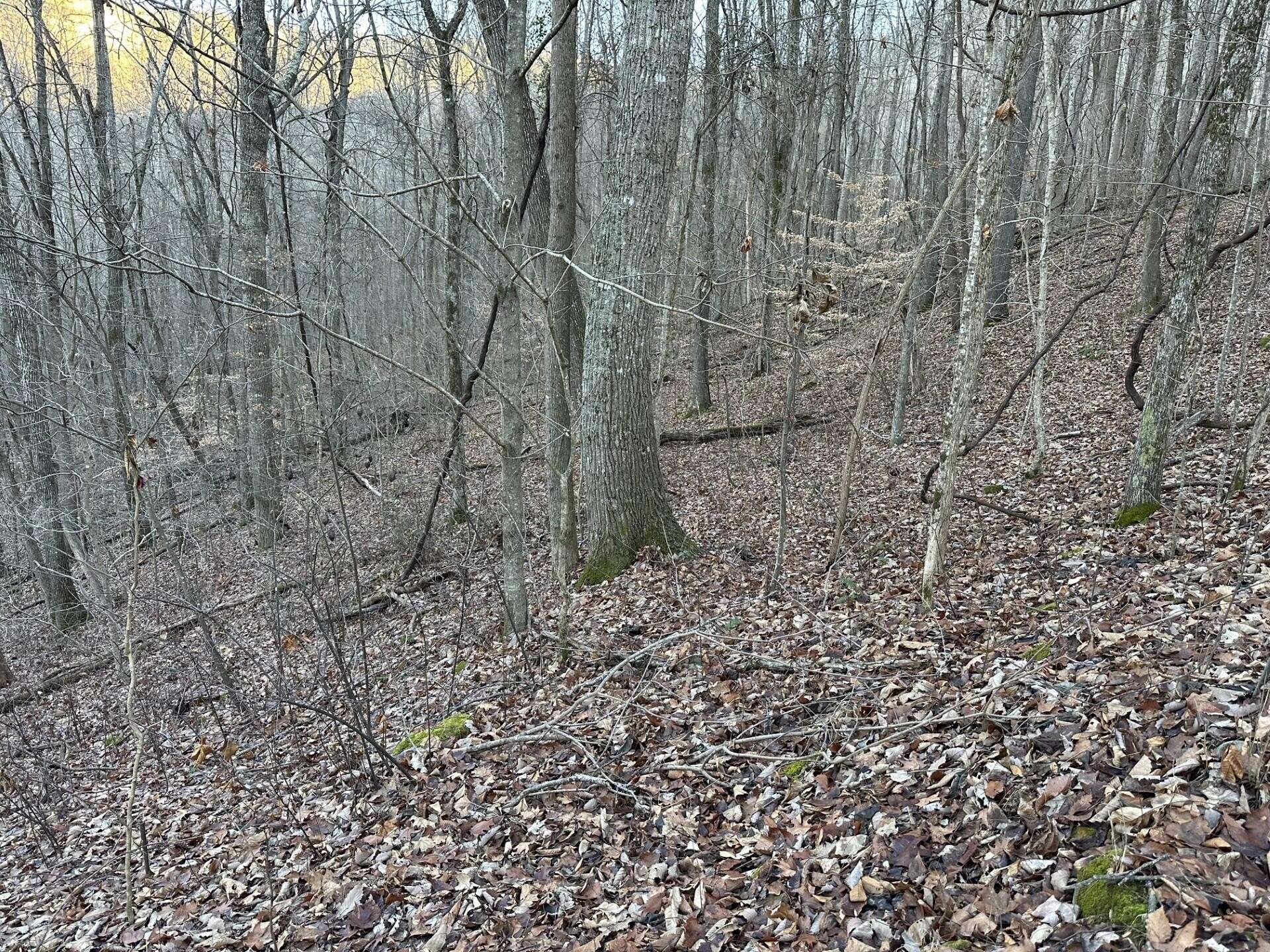 83 Stone Ridge Road, Pikeville, TN 37367