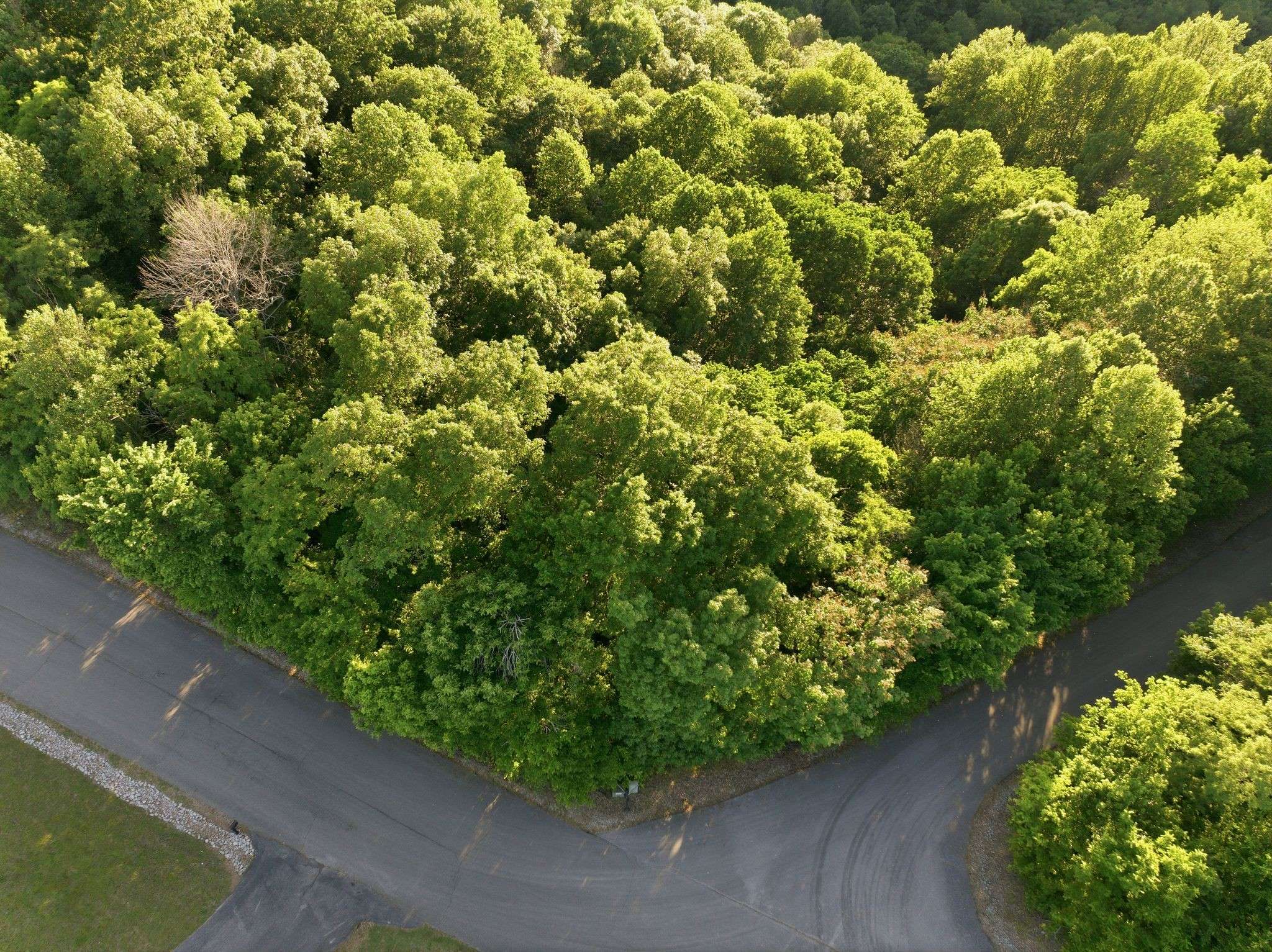 0 Davidson Road, Smithville, TN 37166