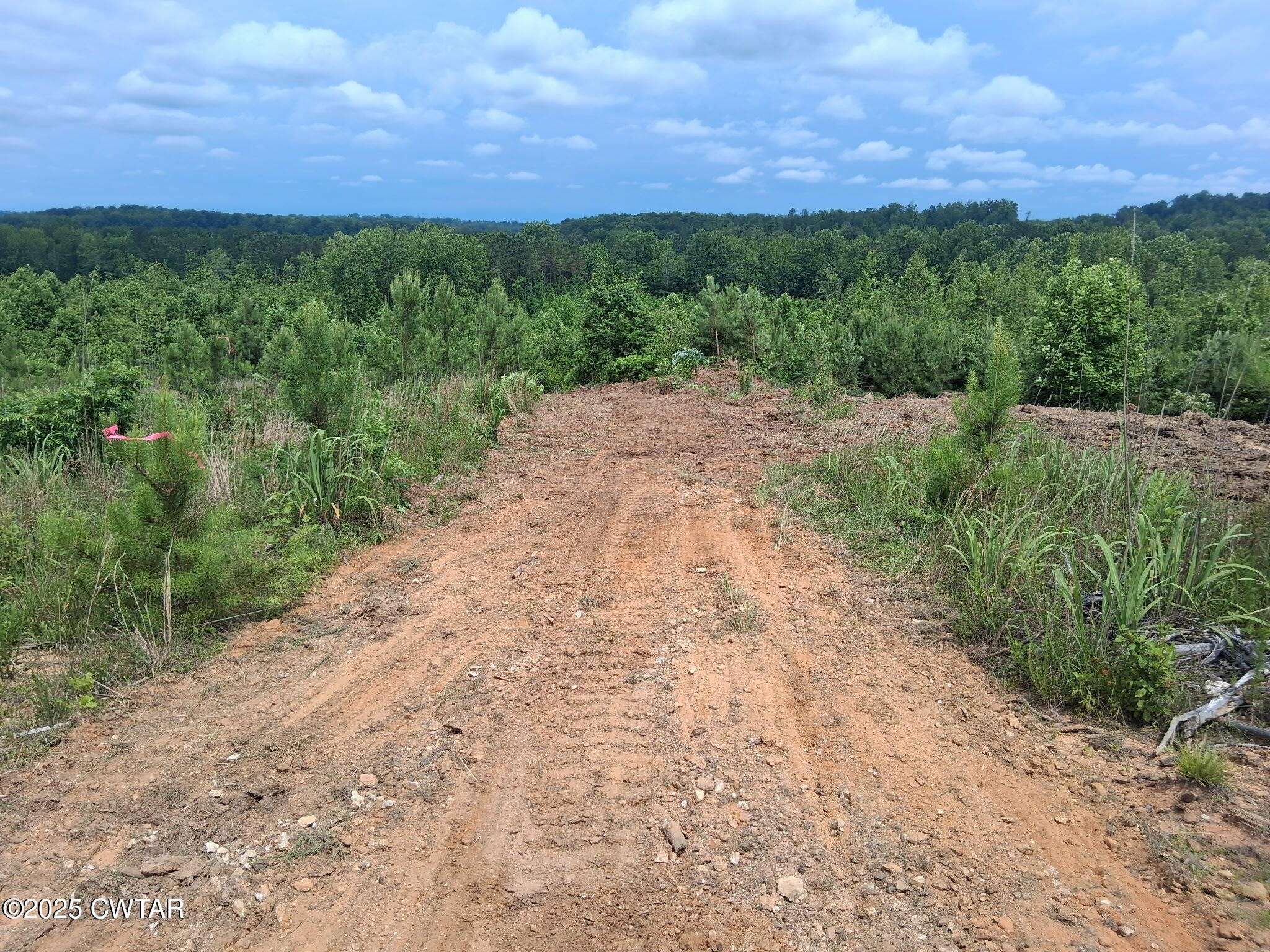 0 Tucker Rd, Bath Springs, TN 38311