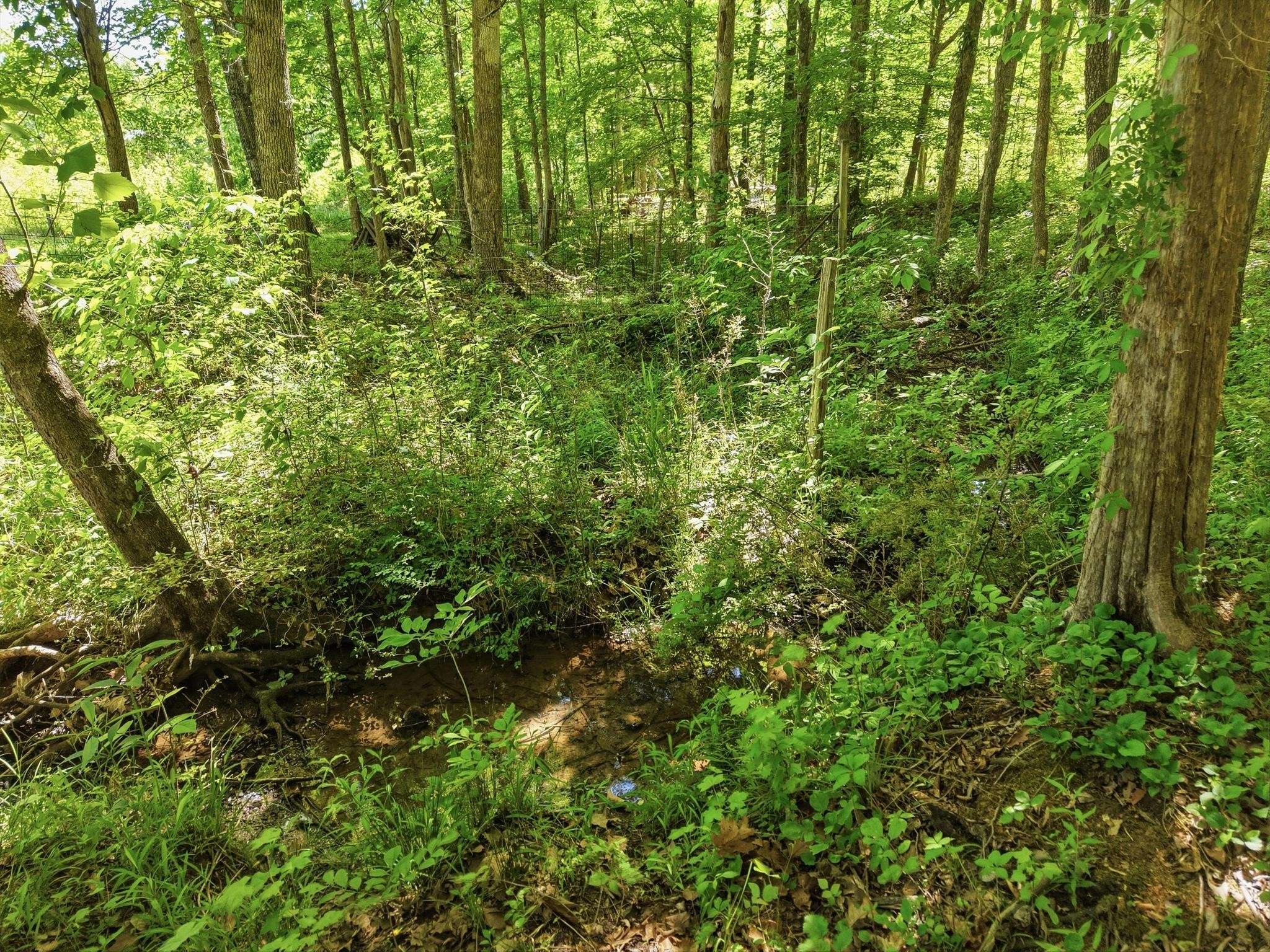 6 Falling Water Rd, Cookeville, TN 38506