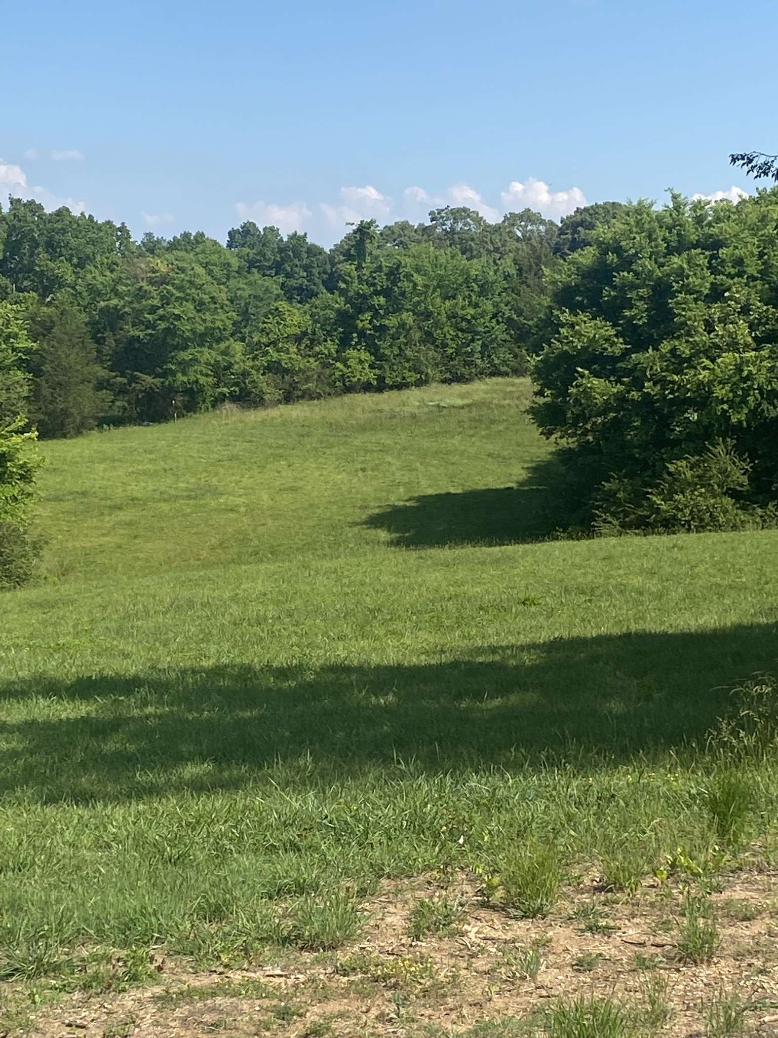 656 County Rd, Anderson, AL 35610