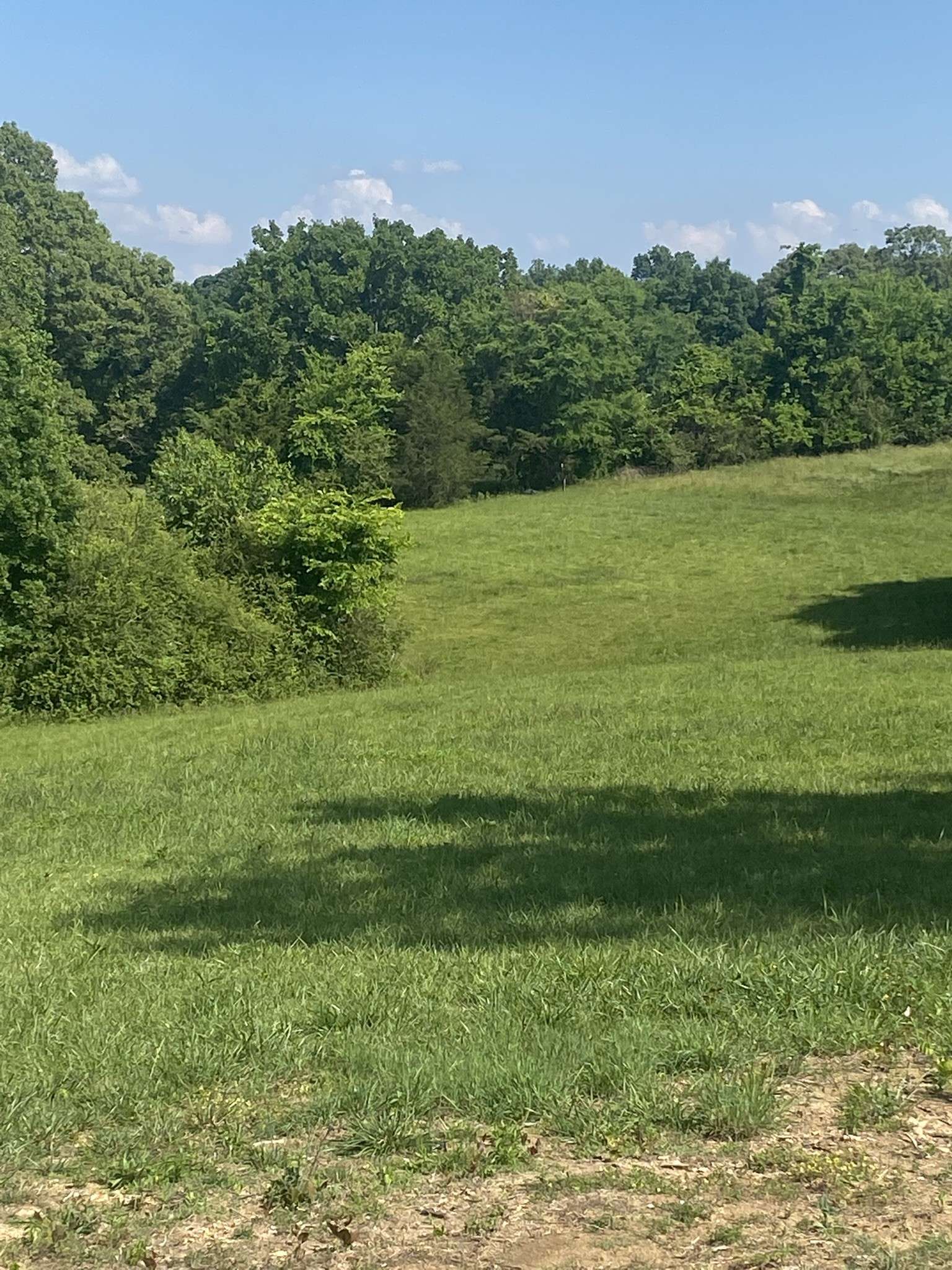 656 County Rd, Anderson, AL 35610