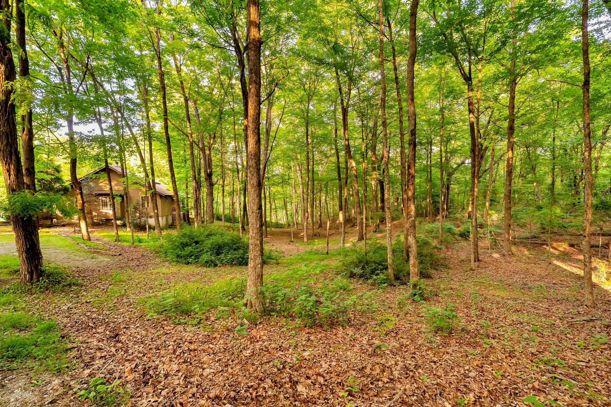 80 Unaka Dr, Monteagle, TN 37356