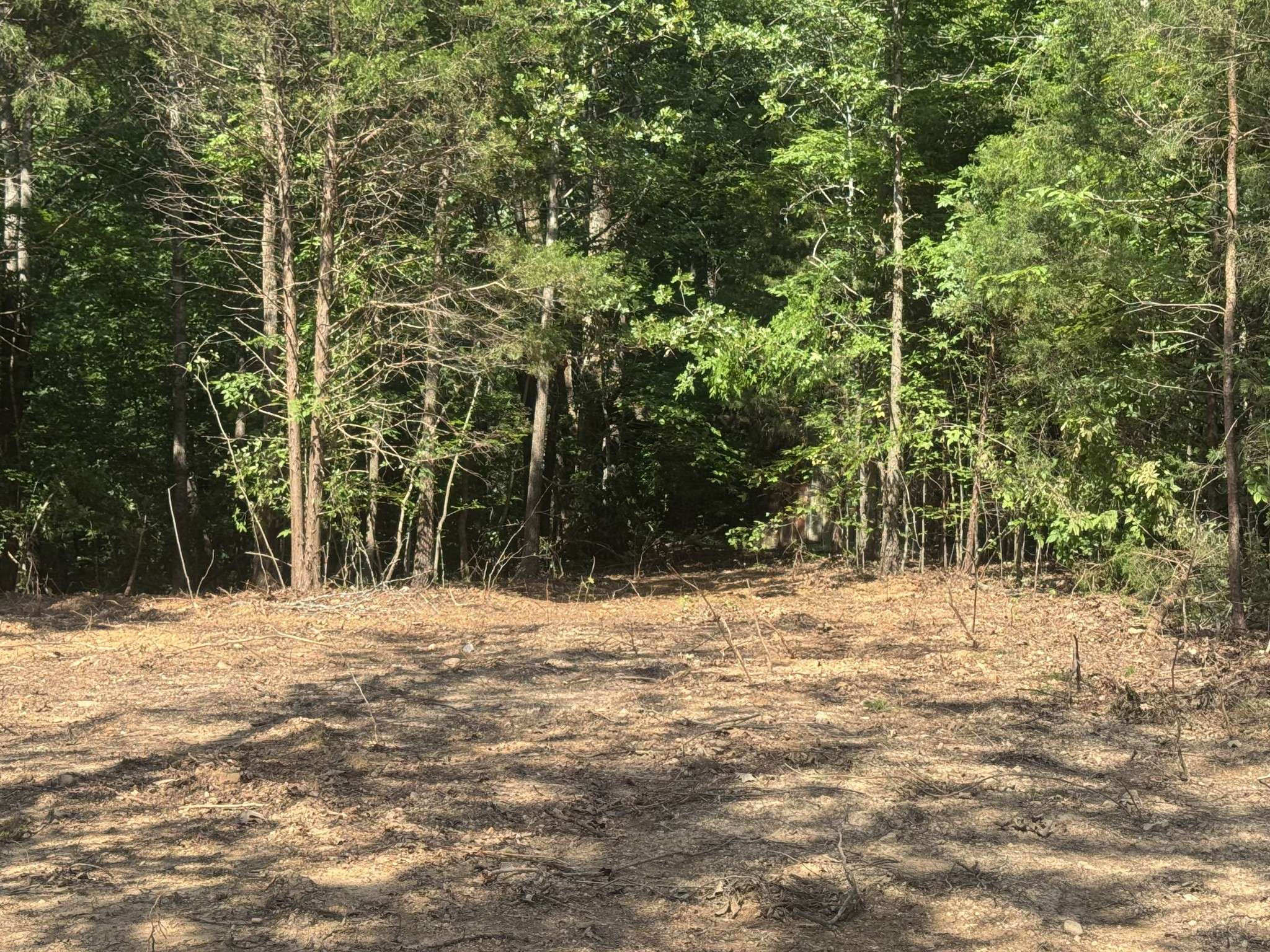1 Commissary Ridge Rd, Indian Mound, TN 37079