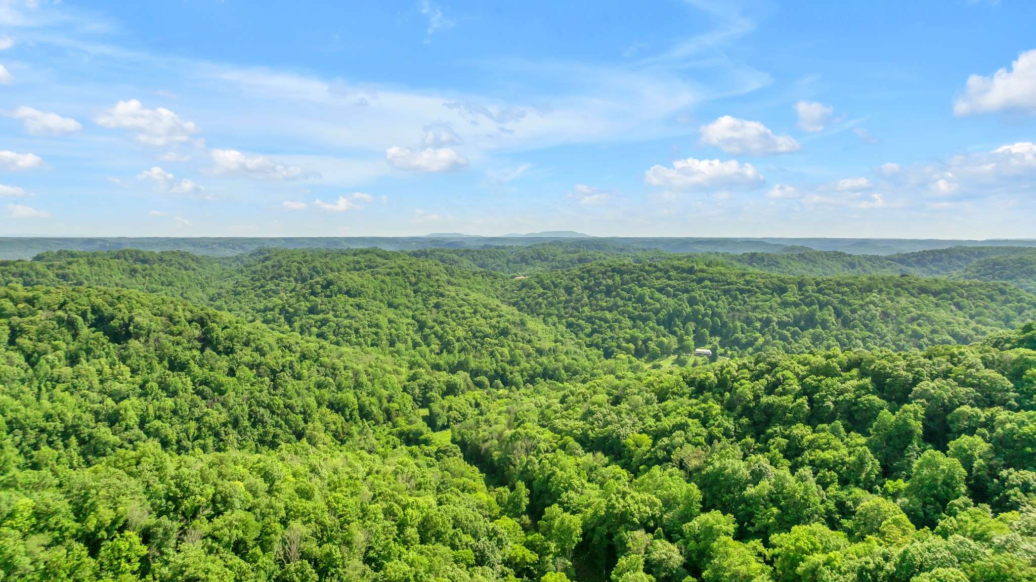 16600 Center Hill Dam Rd, Silver Point, TN 38582