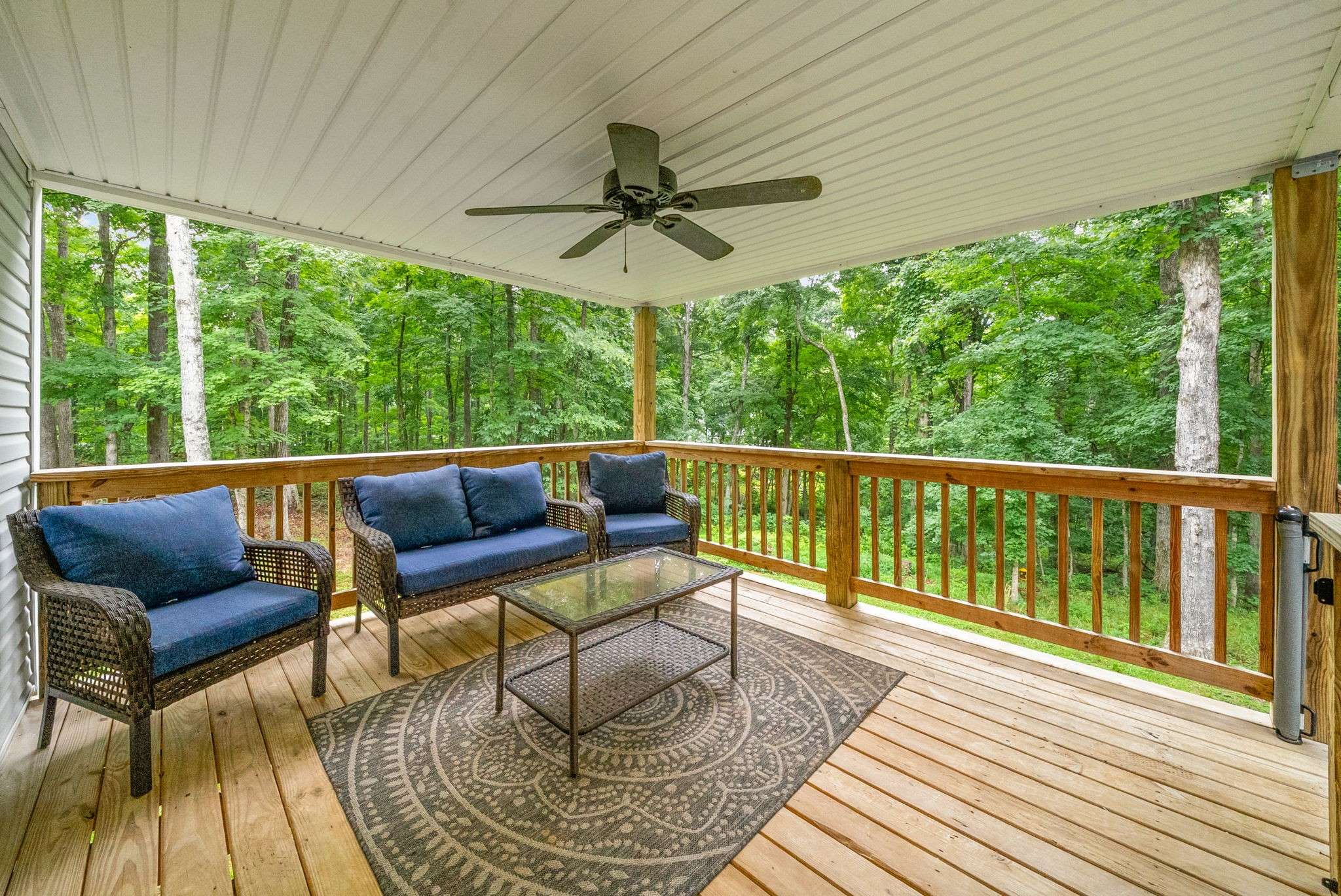 4515 Chester Harris Road, Woodlawn, TN 37191