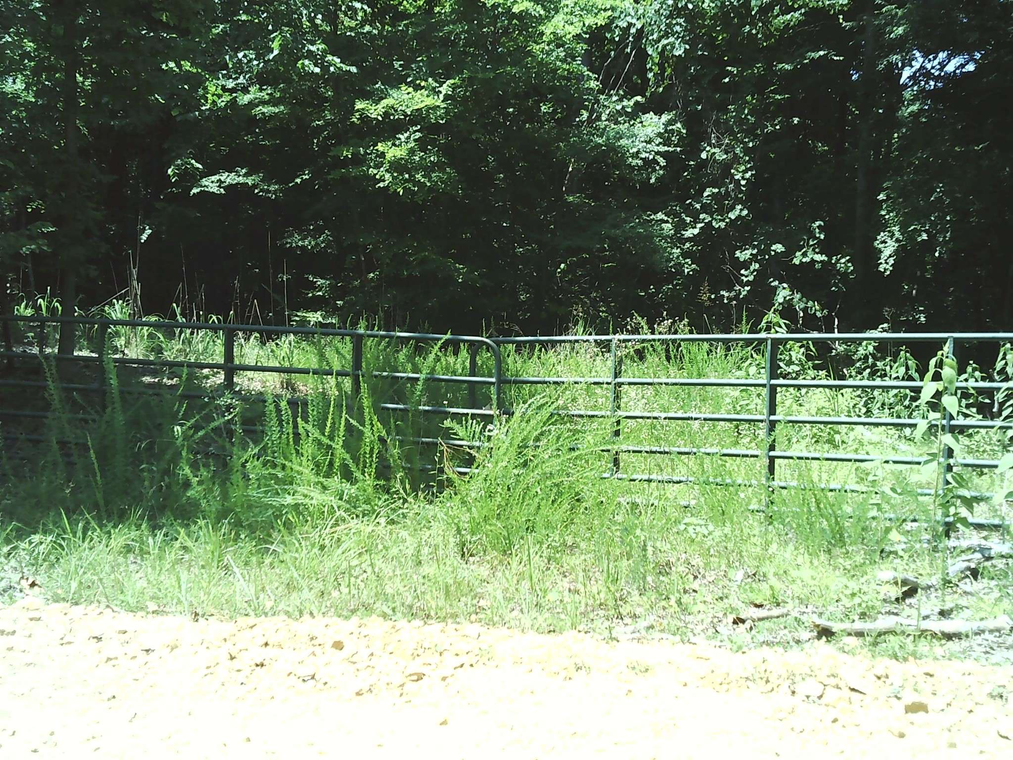 0 Hargis Rd, Bumpus Mills, TN 37028