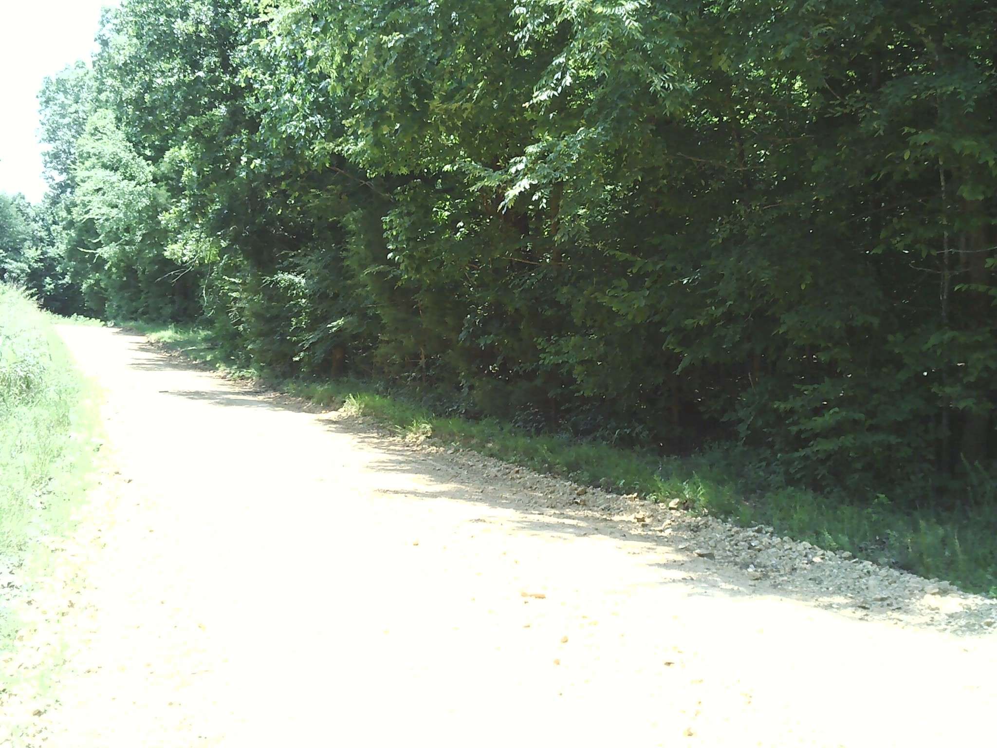 0 Hargis Rd, Bumpus Mills, TN 37028