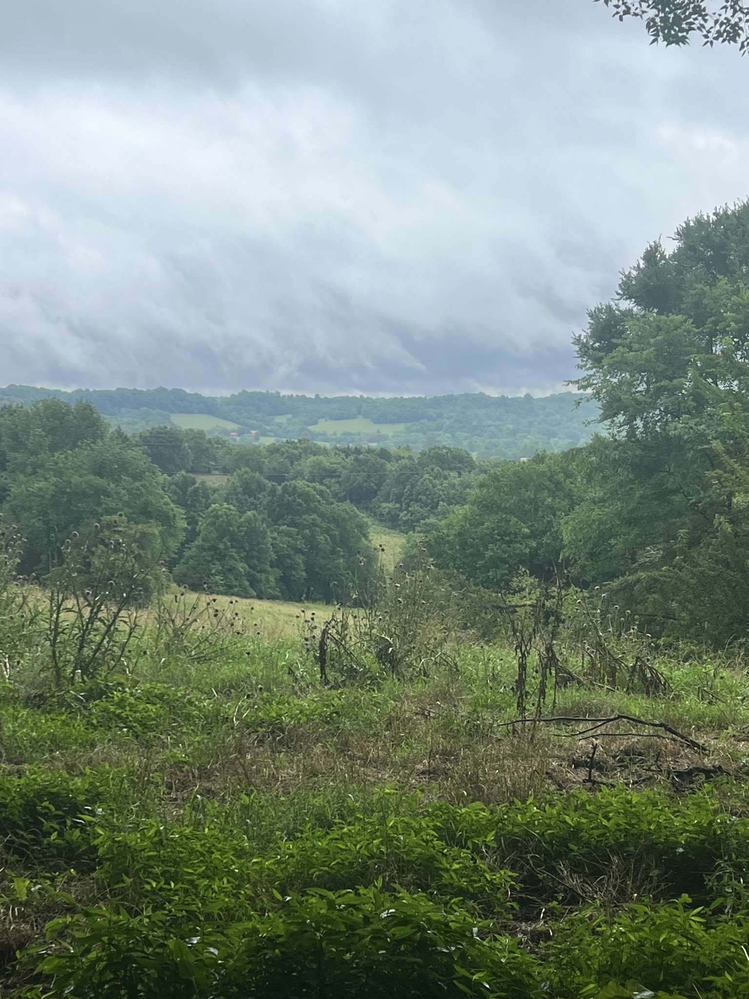 127 McBurg Rd, Frankewing, TN 38459