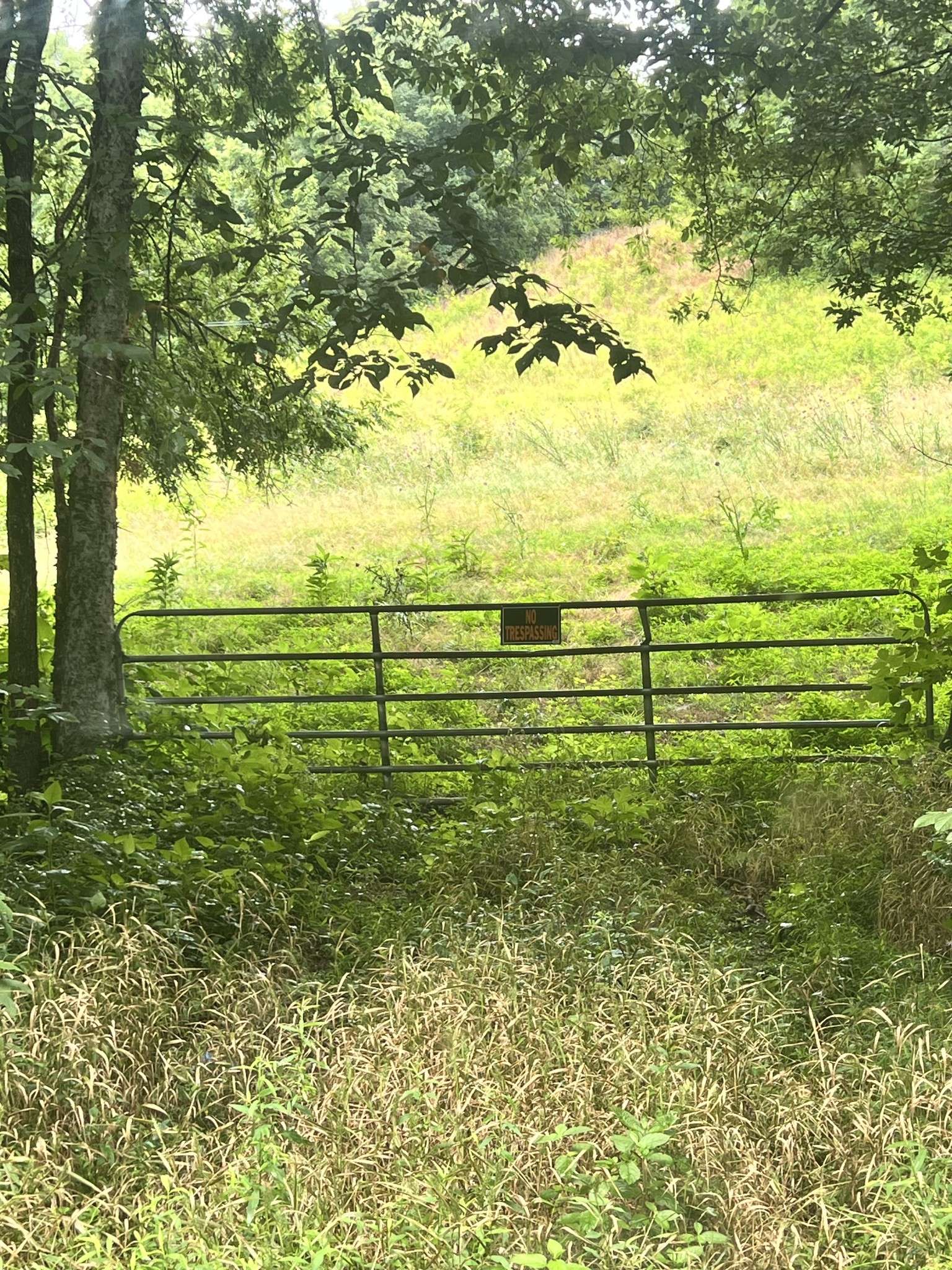 127 McBurg Rd, Frankewing, TN 38459