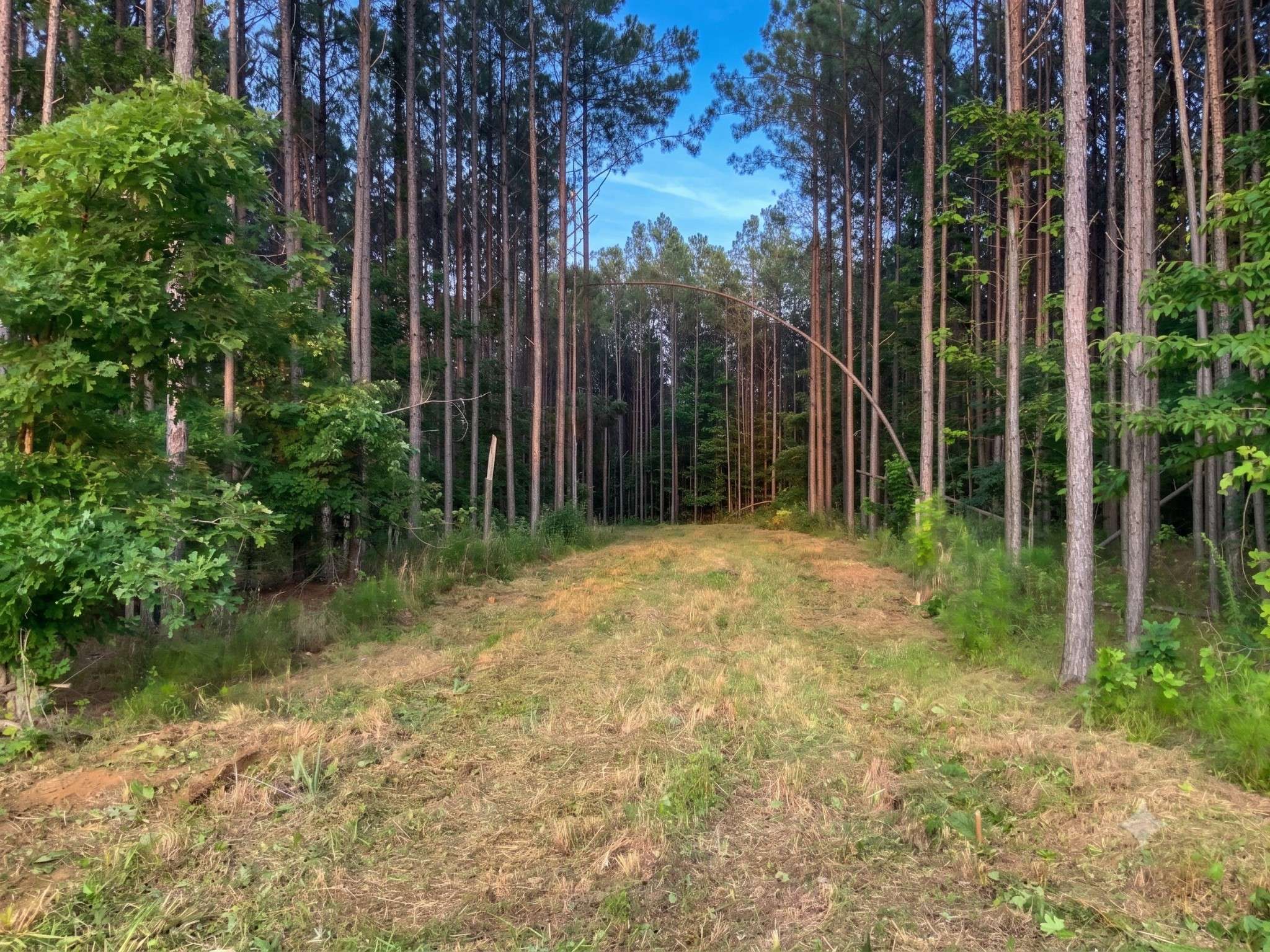0 Adaleighs Way, Big Sandy, TN 38221