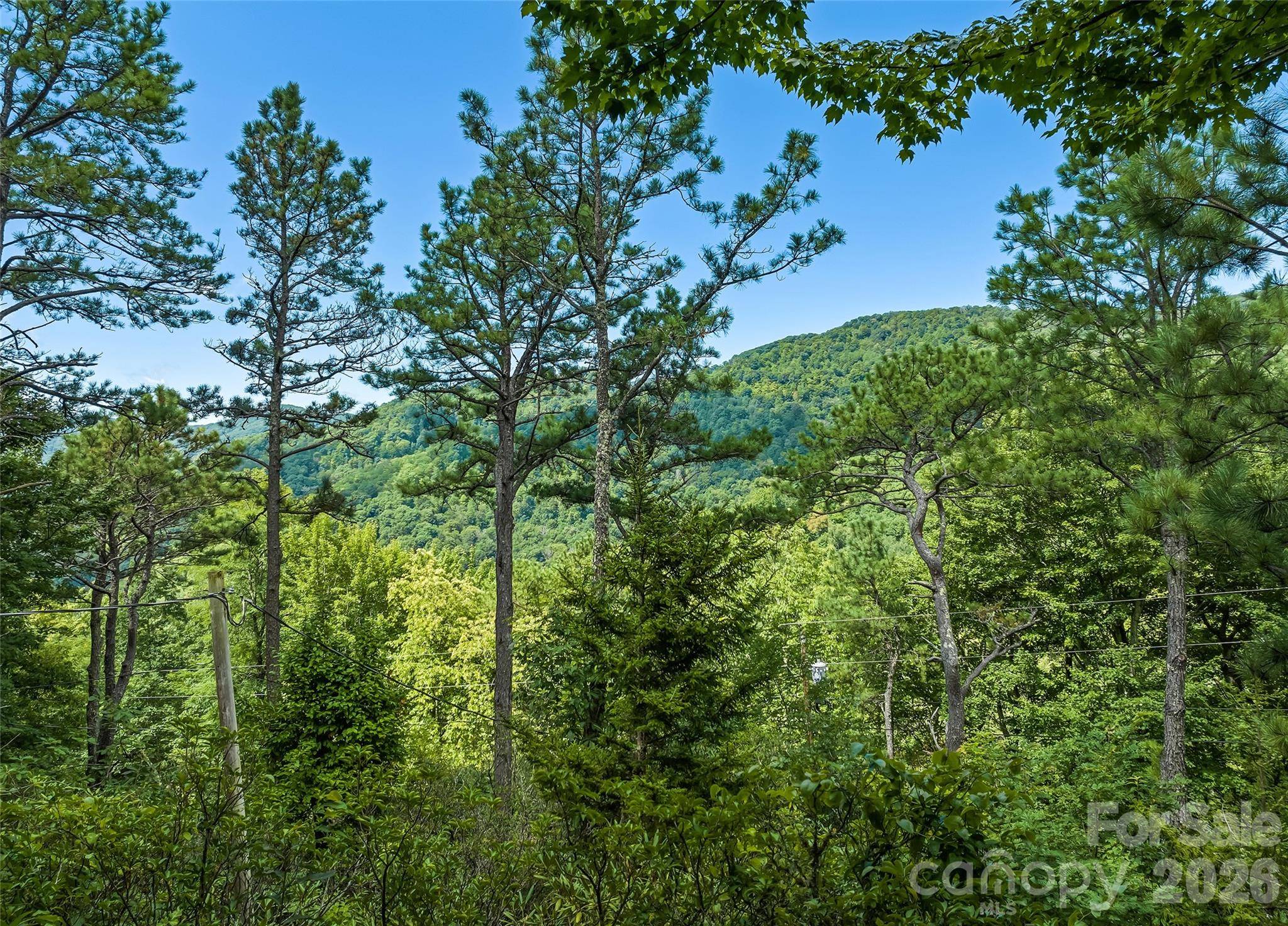 52 Steep LN, Maggie Valley, NC 28751