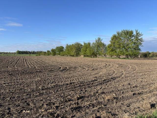 TBD Island Estates (site 12) DR NW, Pine Island, MN 55963