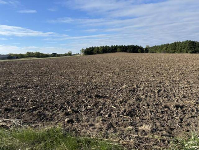 TBD Pine Bluff (site 15) RD NW, Pine Island, MN 55963