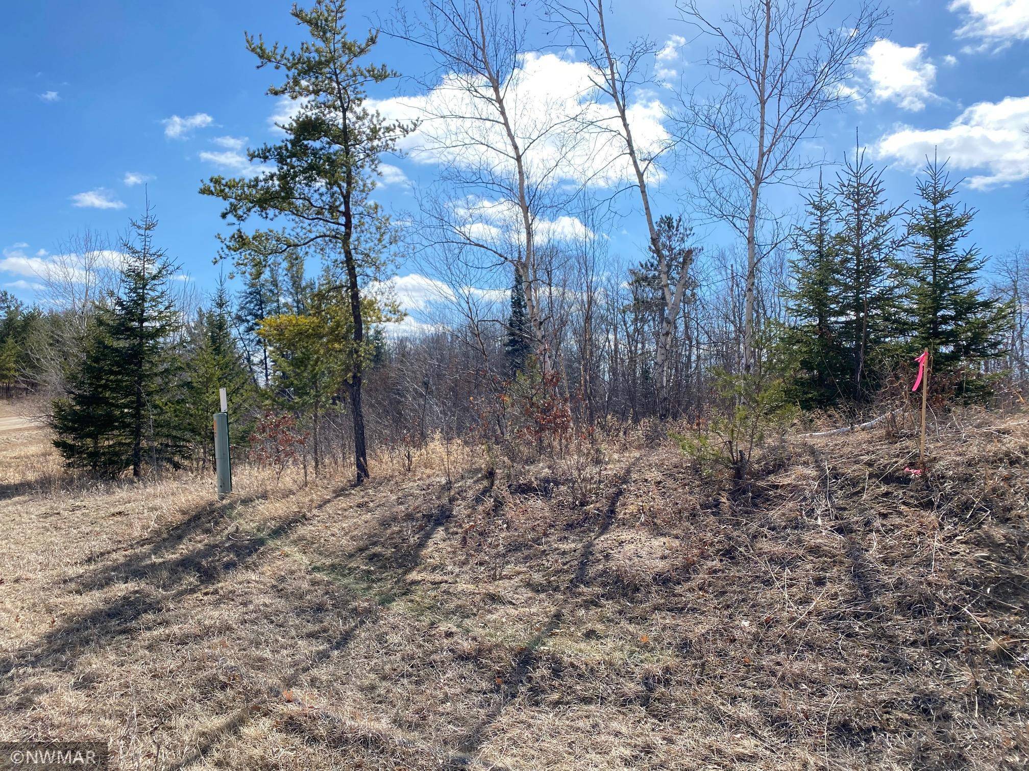 TBD (L11,B2) Grant Hills RD SW, Bemidji, MN 56601