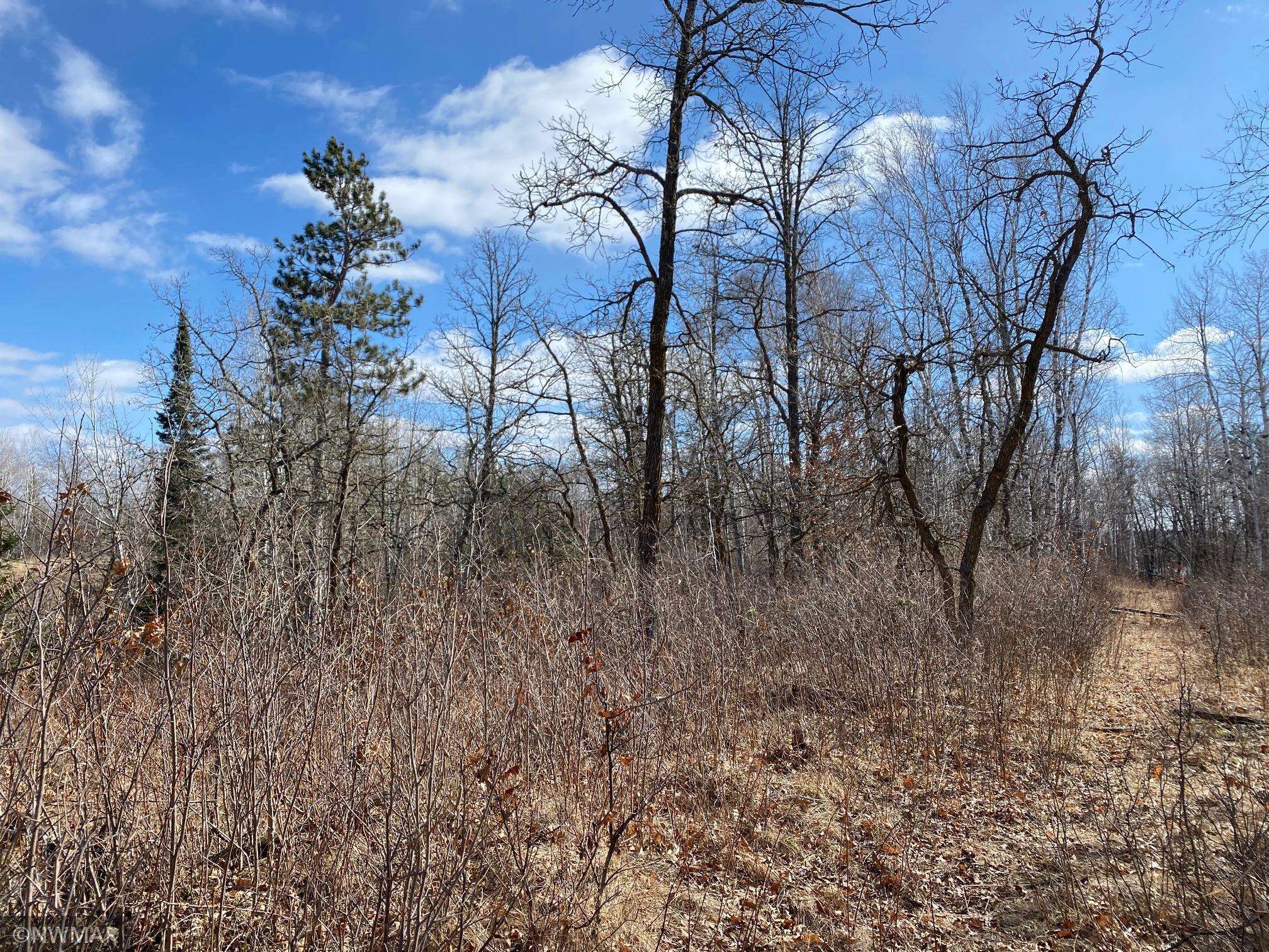 TBD (L11,B2) Grant Hills RD SW, Bemidji, MN 56601