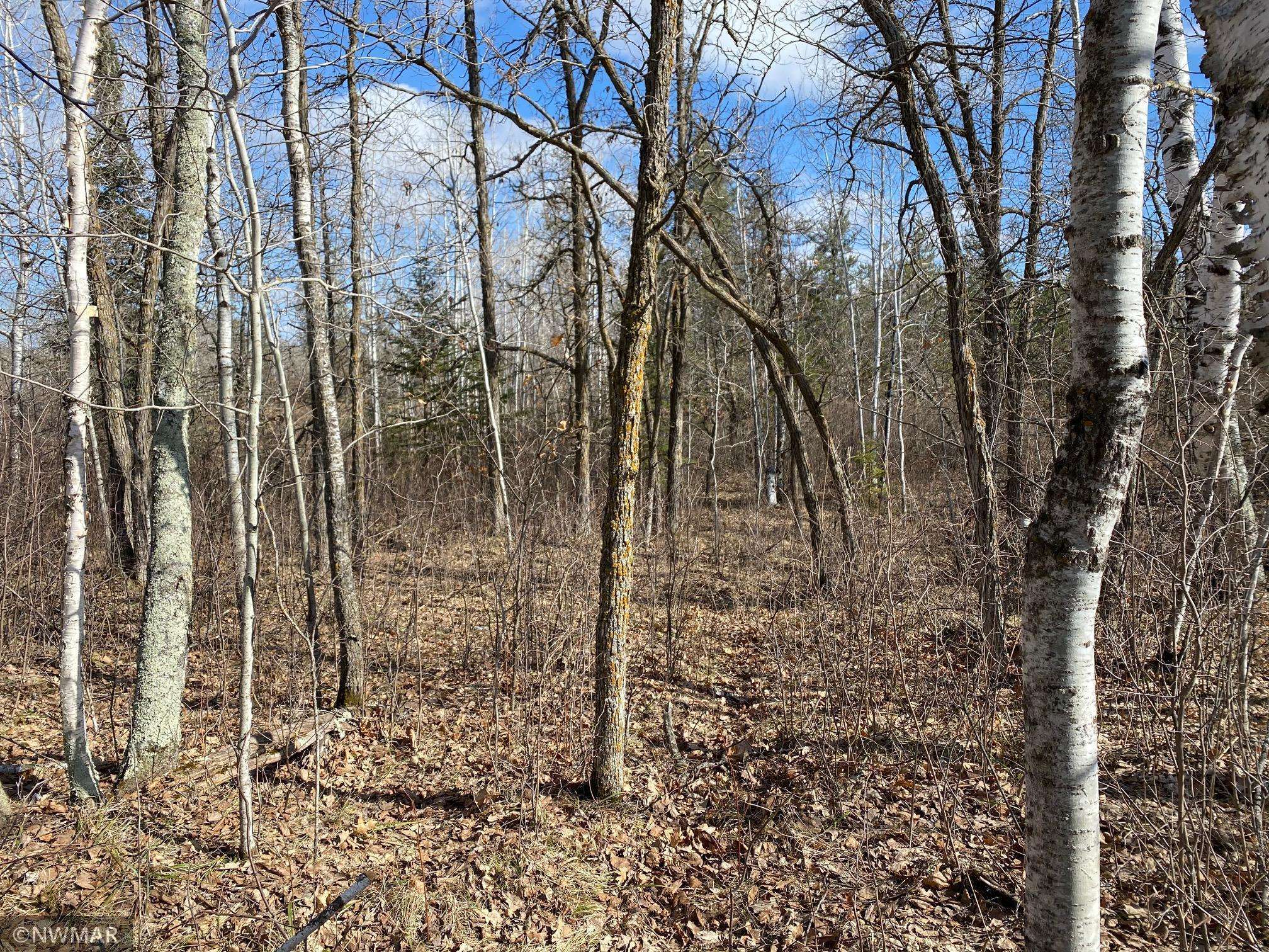 TBD (L11,B2) Grant Hills RD SW, Bemidji, MN 56601