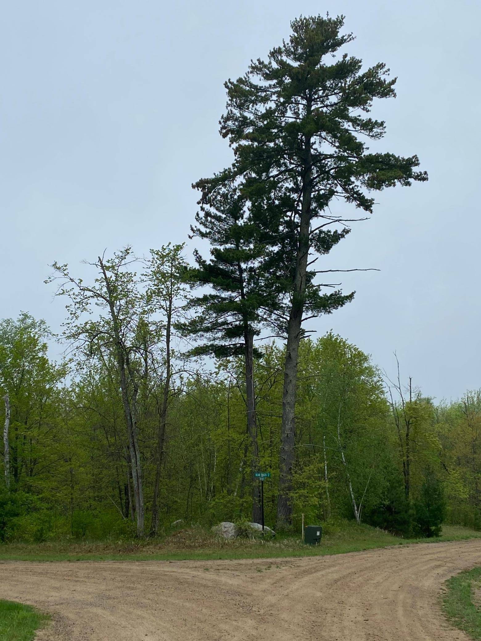LOT 16 Bear Tract LN NE, Longville, MN 56655