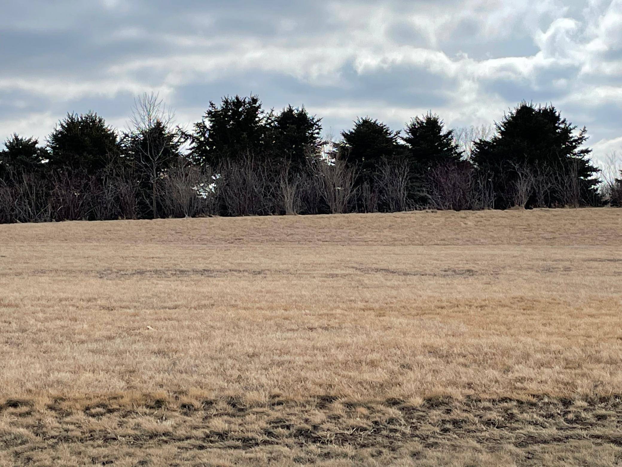 531 Hillcrest ST, Edgerton, MN 56128