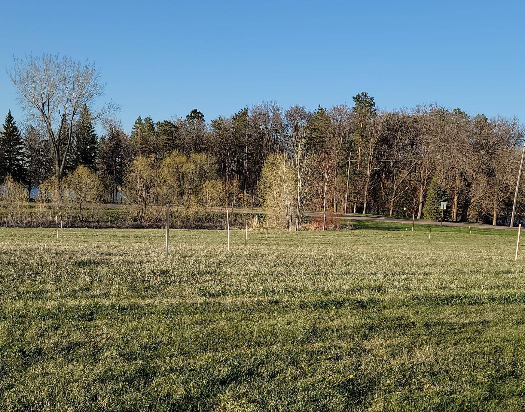 Blk 2 Lot 9 Sunset Avenue-Prairie Lane, Mountain Lake, MN 56159