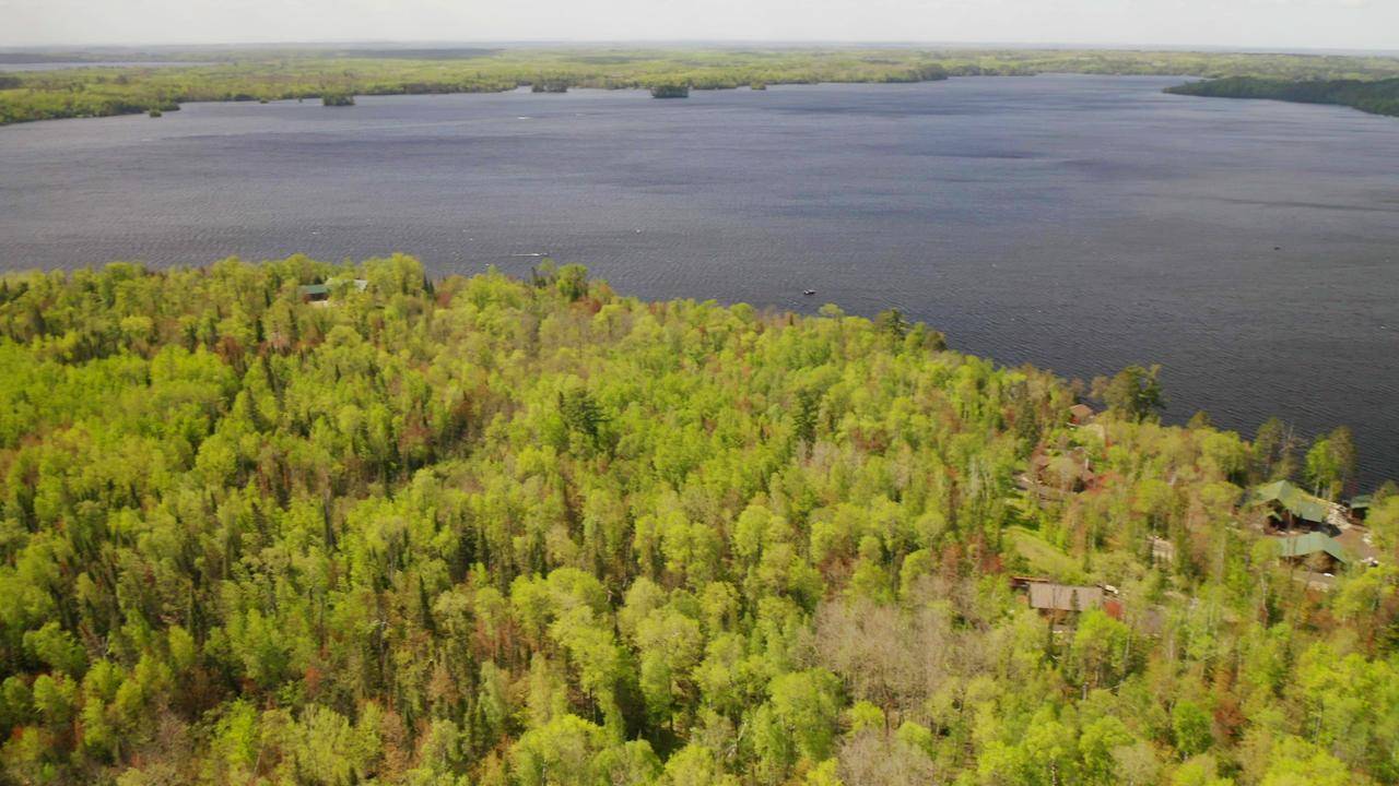Parcel B S Niles Bay Forest Road, Orr, MN 55771