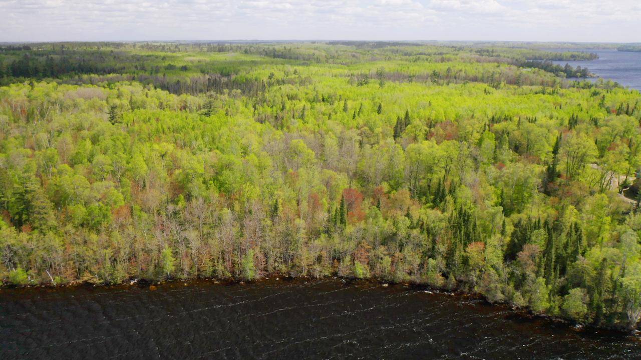 Parcel C S Niles Bay Forest Road, Orr, MN 55771