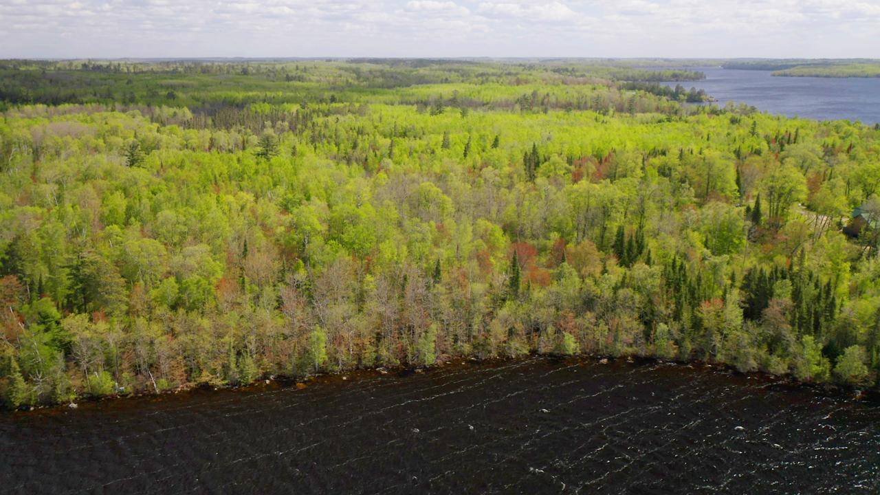 Parcel C S Niles Bay Forest Road, Orr, MN 55771