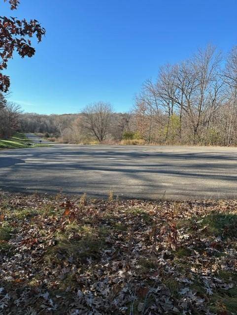 xxx 263rd ST, Franconia Twp, MN 55074