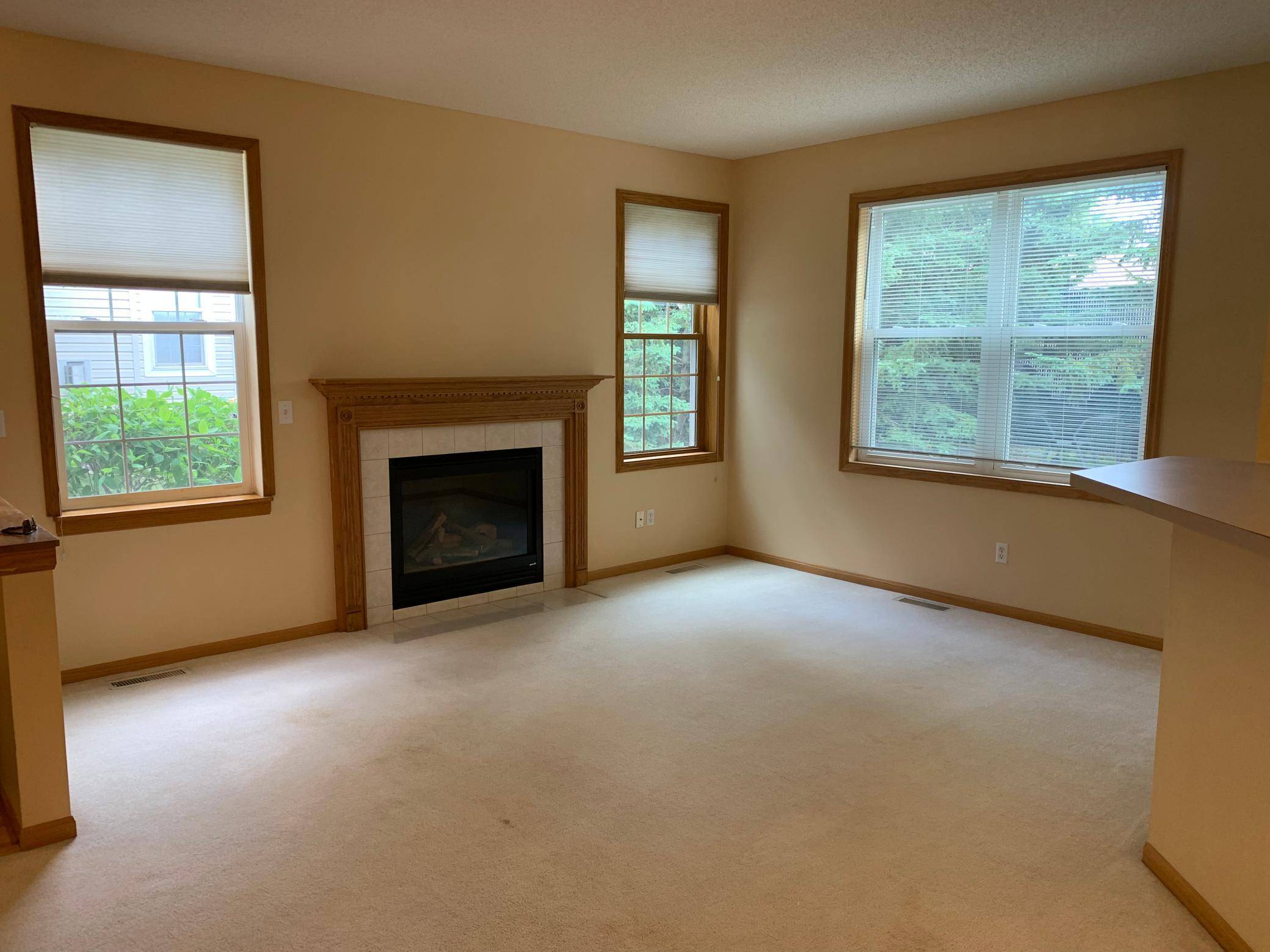16917 39th AVE N, Plymouth, MN 55446