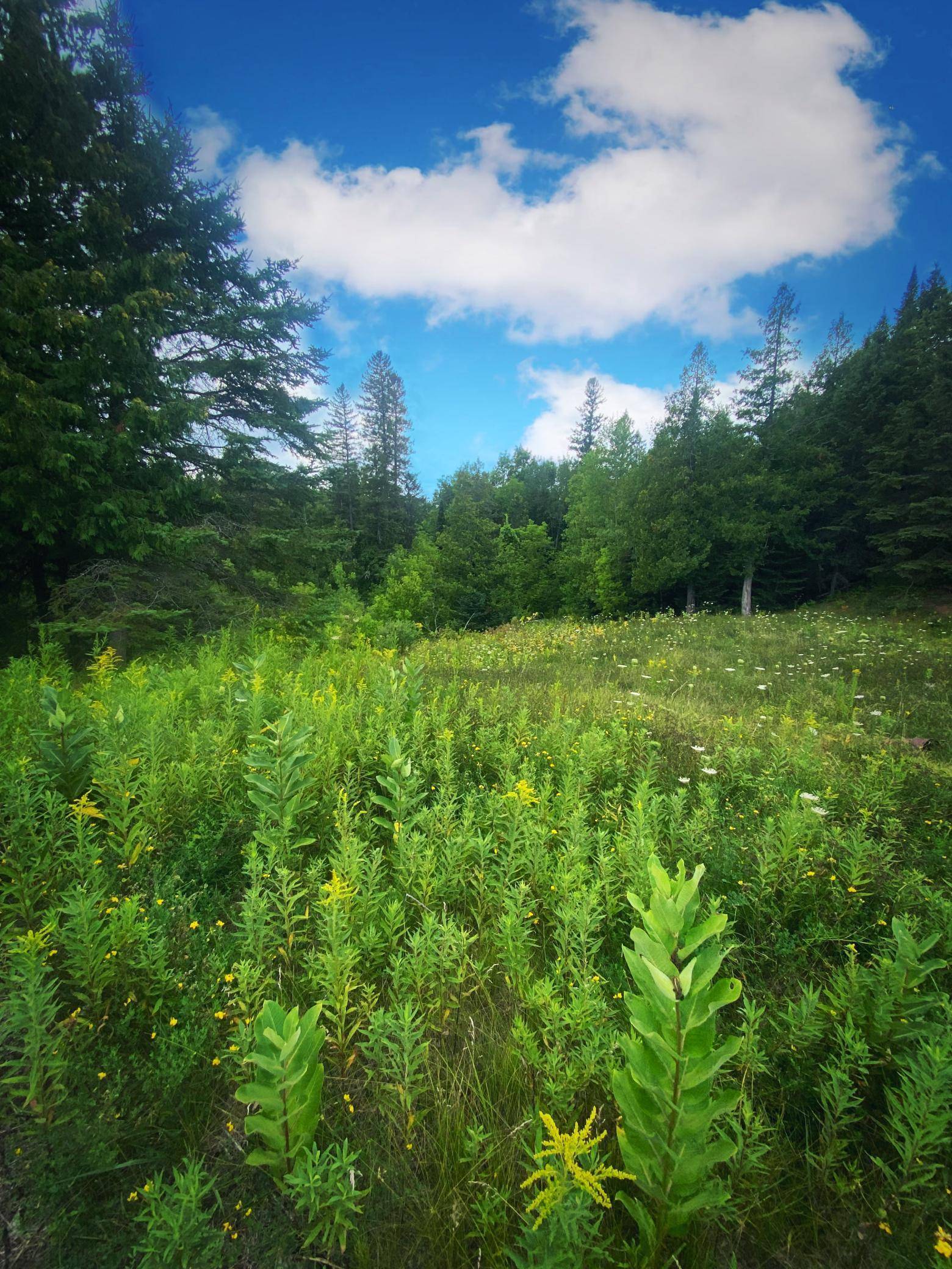000 Van Ornum Road, Marengo, WI 54855