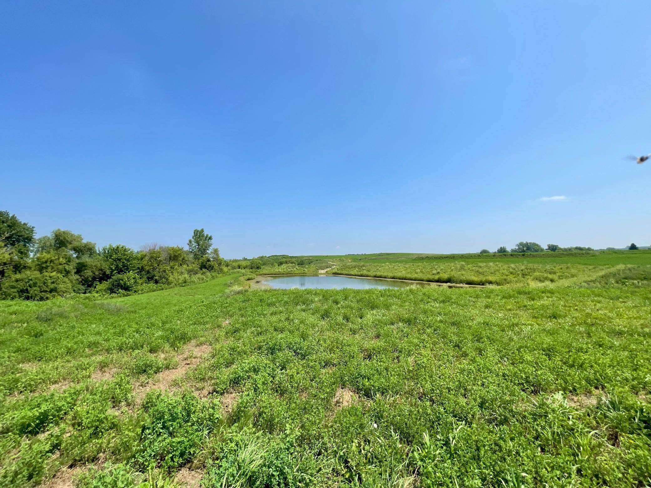 1412 Somerby PL NE, Byron, MN 55920