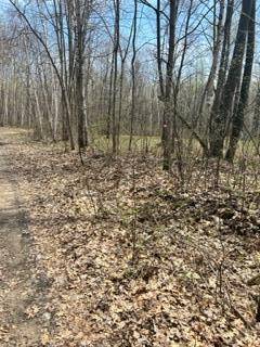 XXX Opal LN, Cushing, MN 56443