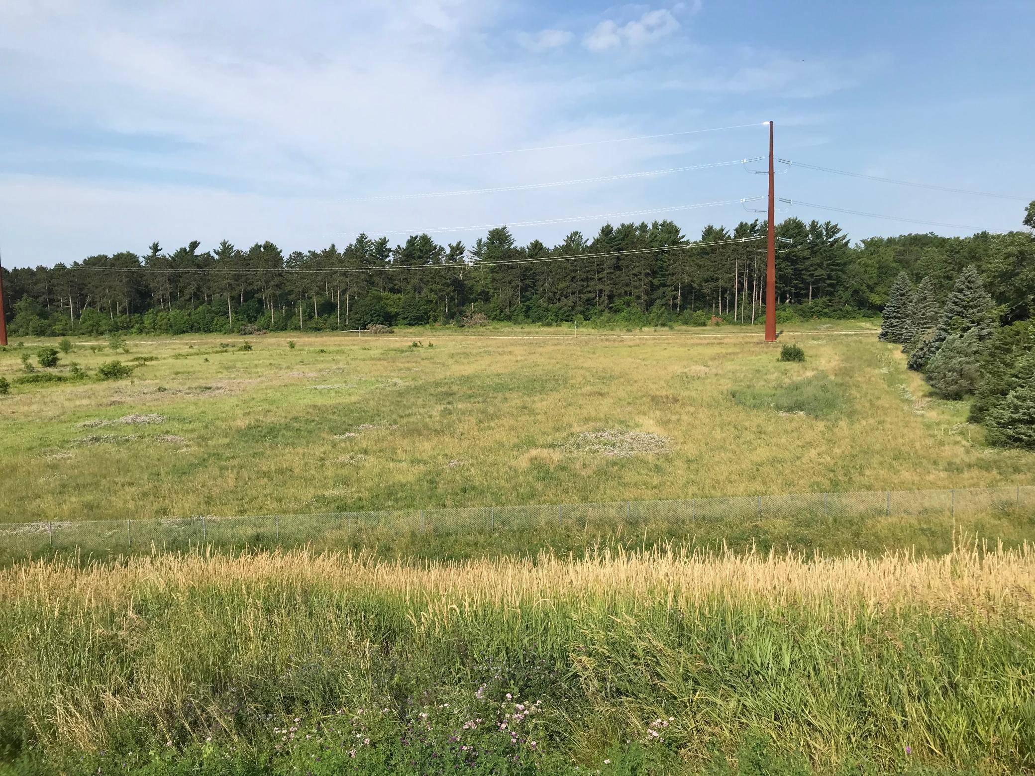xxx 63rd AVE, Cannon Falls, MN 55009