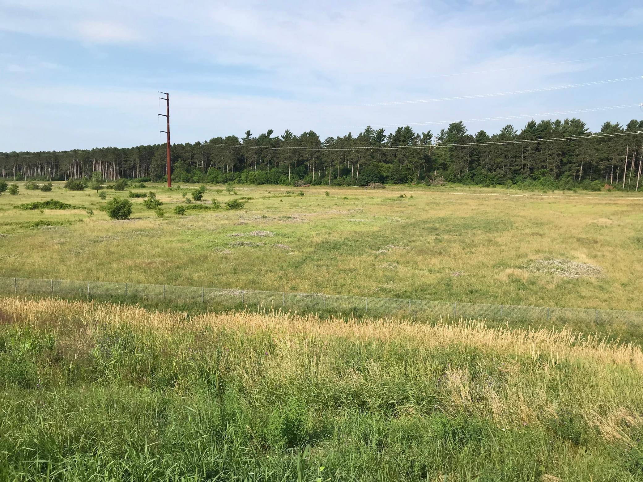 xxx 63rd AVE, Cannon Falls, MN 55009