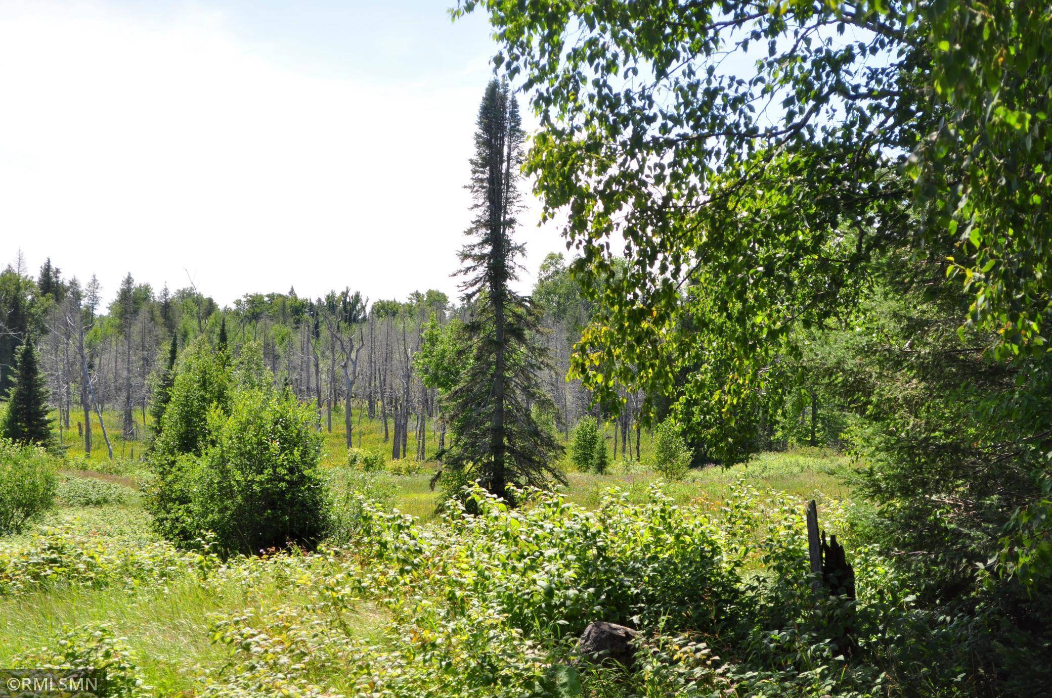 3228 Gods Wilderness RD, Silver Bay, MN 55614