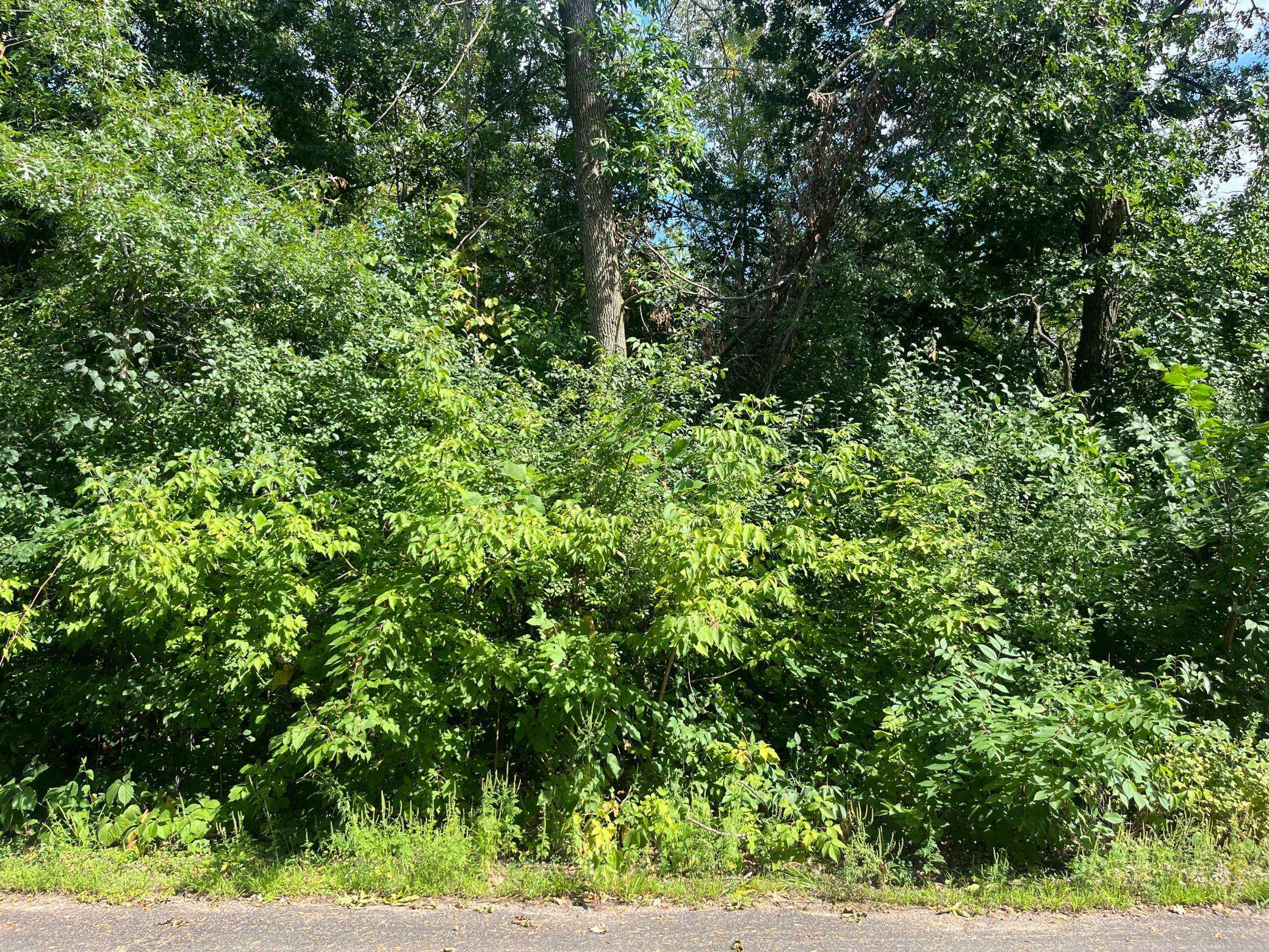 23xxx 182nd ST, Big Lake, MN 55309