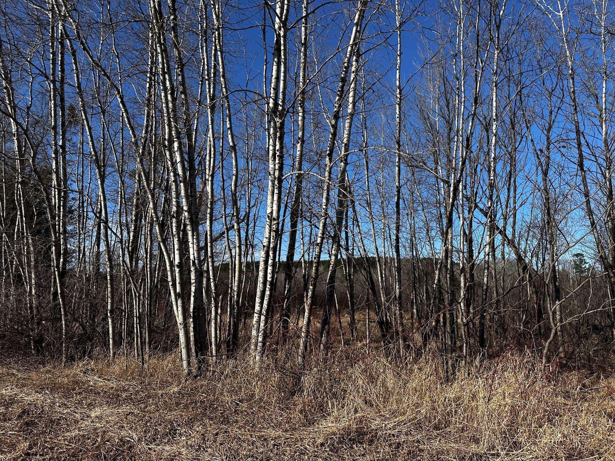8601 E County Rd L, Solon Springs, WI 54873