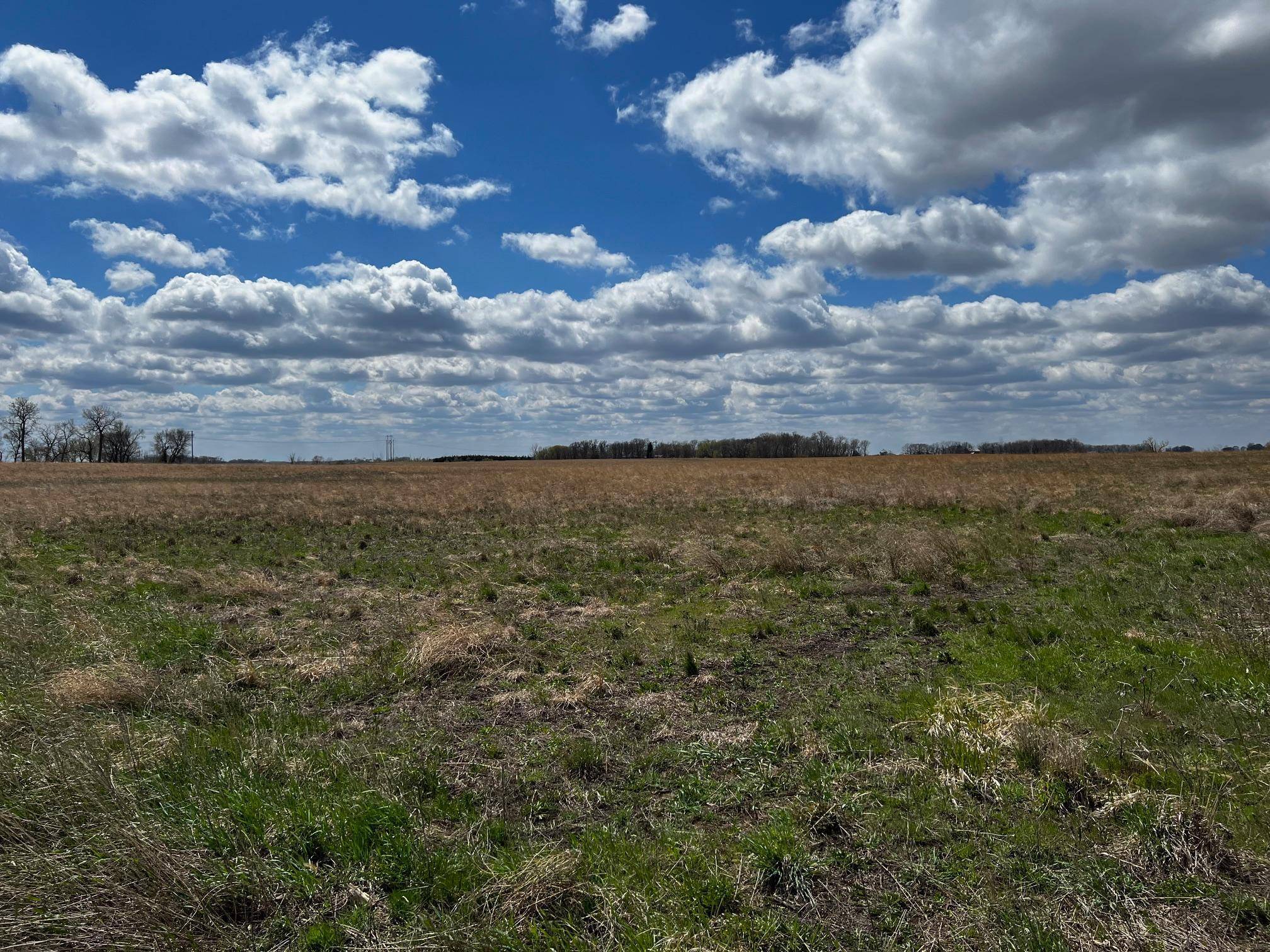 000 541st AVE, Courtland, MN 56021