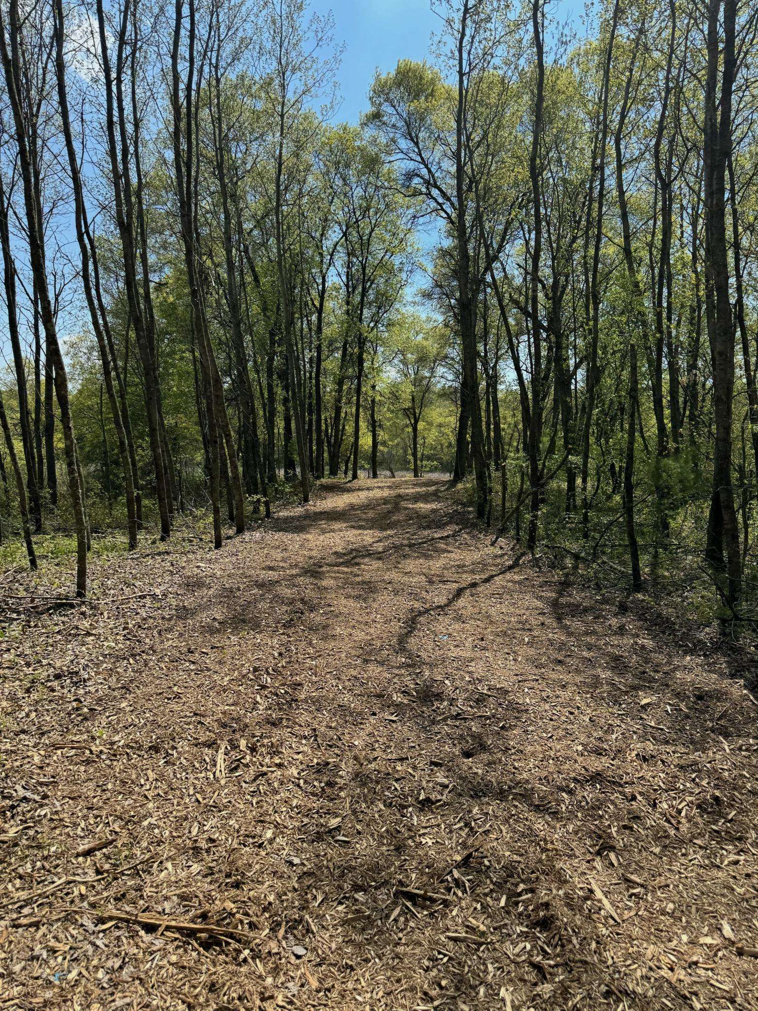 Lot 12 Crystal Lake DR, Danbury, WI 54830