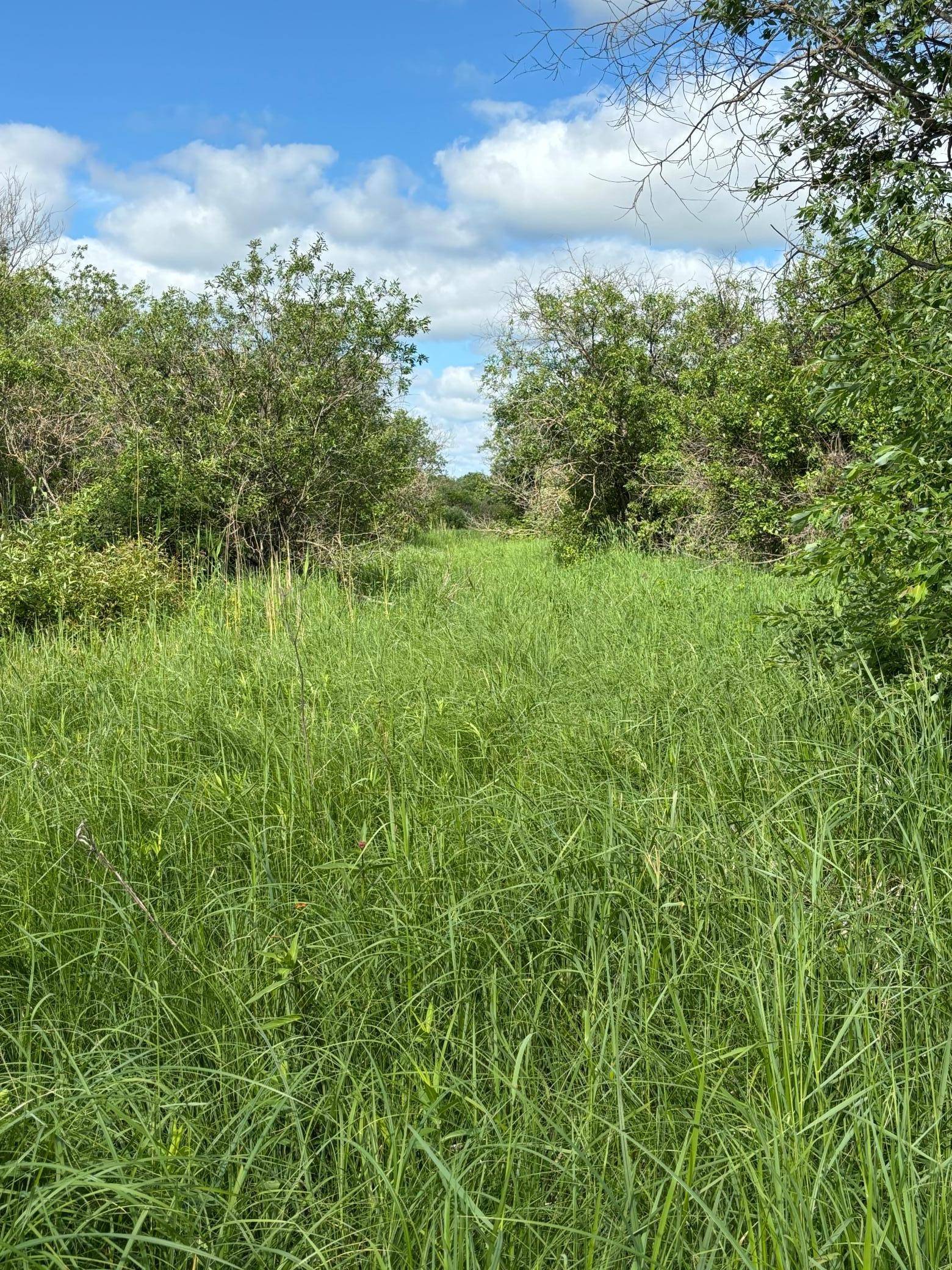 TBD County Road 7, Bagley, MN 56621
