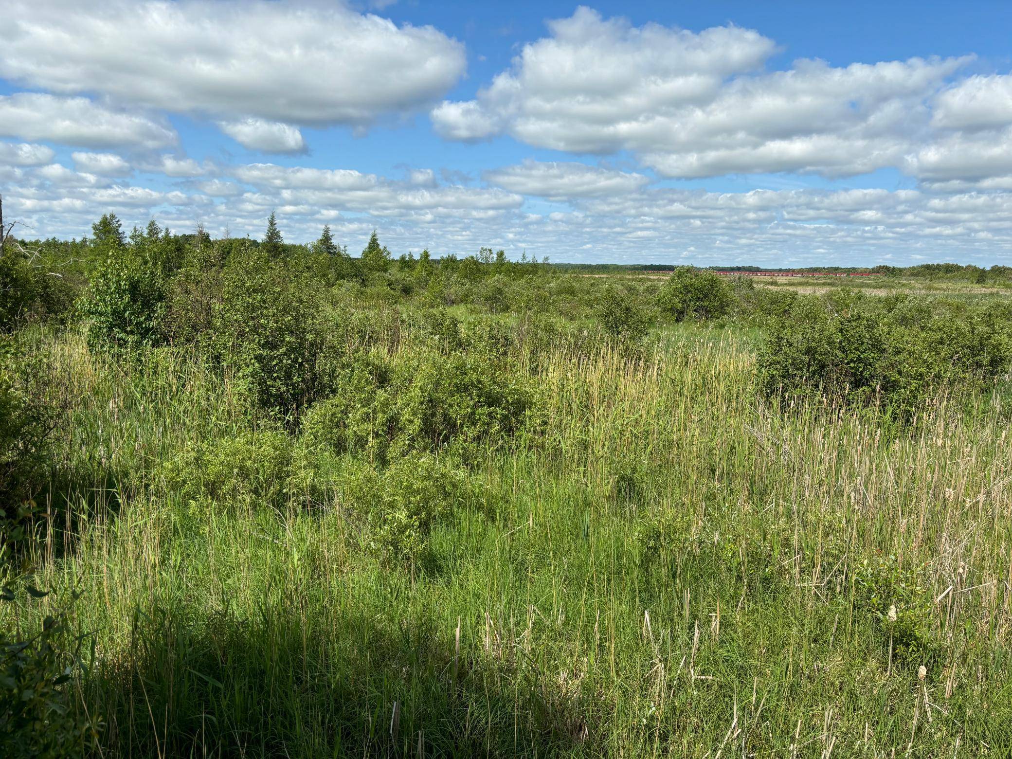 TBD County Road 7, Bagley, MN 56621