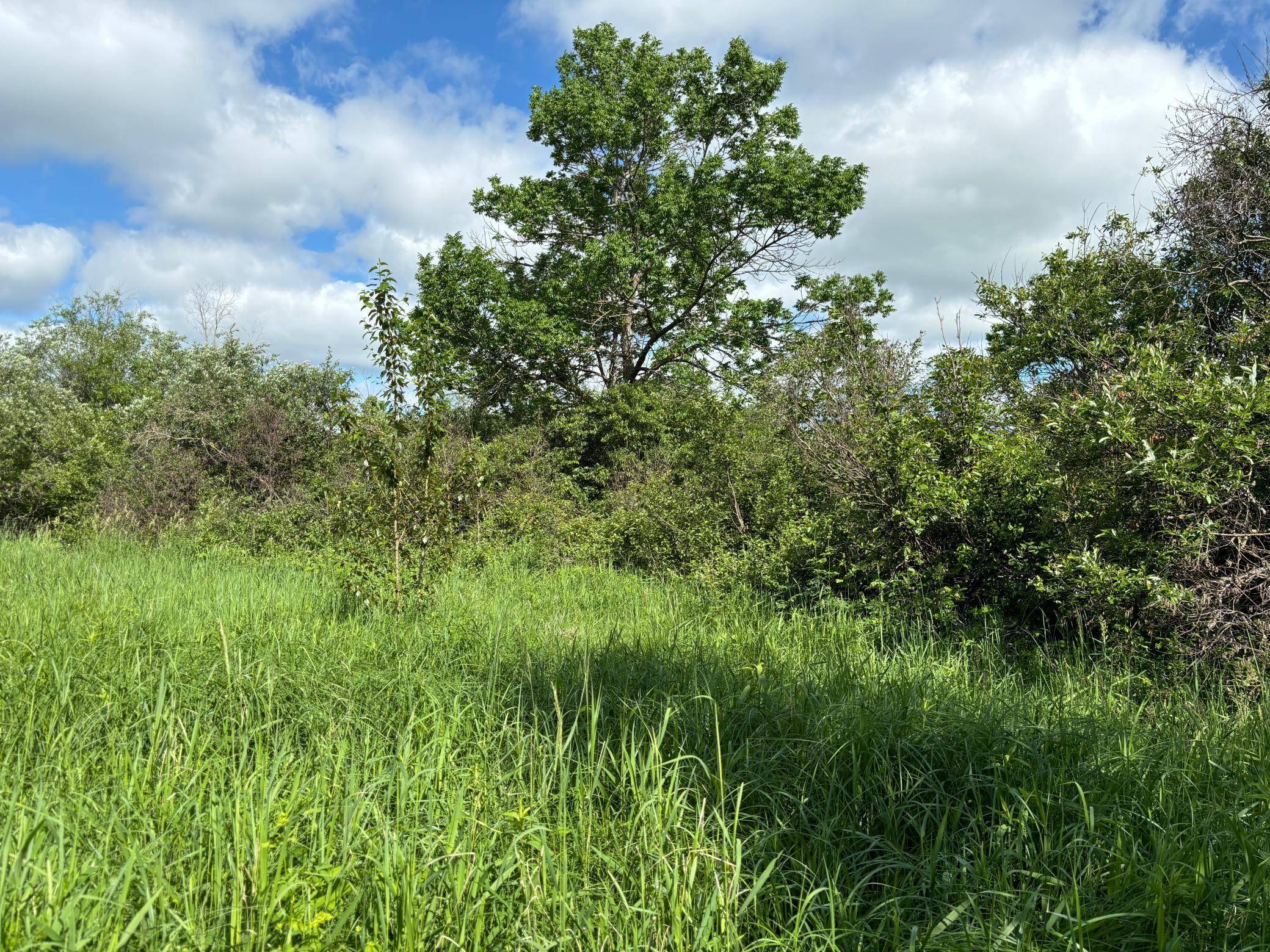TBD County Road 7, Bagley, MN 56621