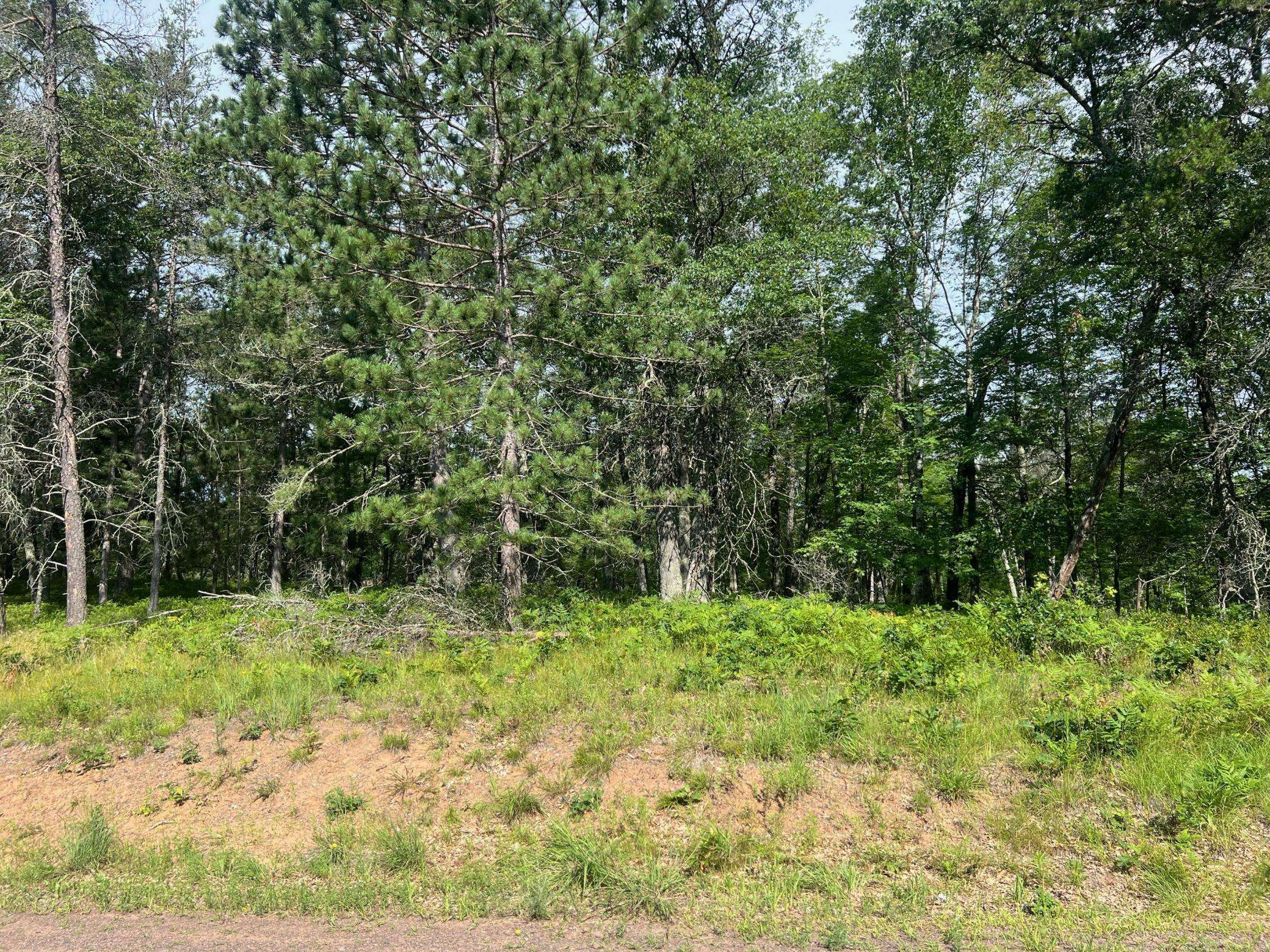 Lot 65 Three Mile RD, Danbury, WI 54830
