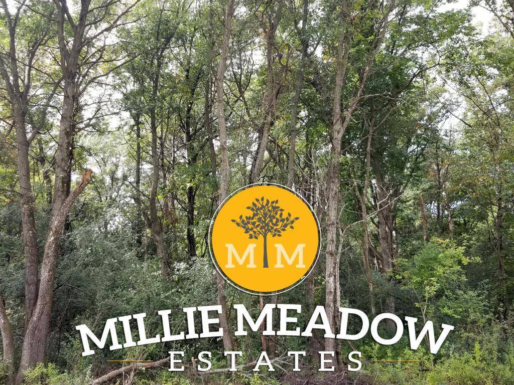 4008 Millie Meadow DR SW, Rochester, MN 55902