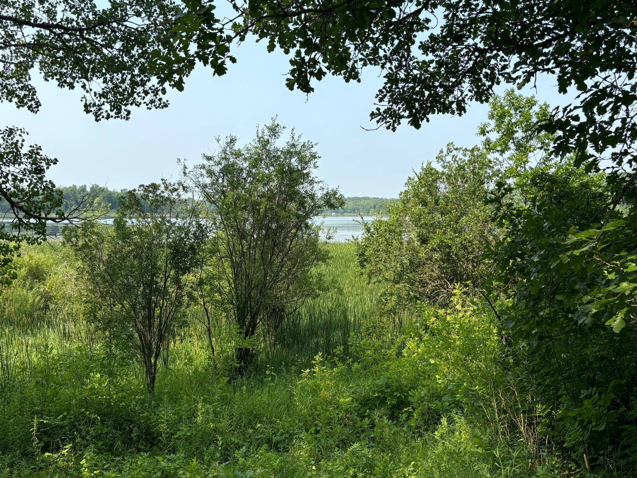 1246 Island Lake Resort DR, Lengby, MN 56651