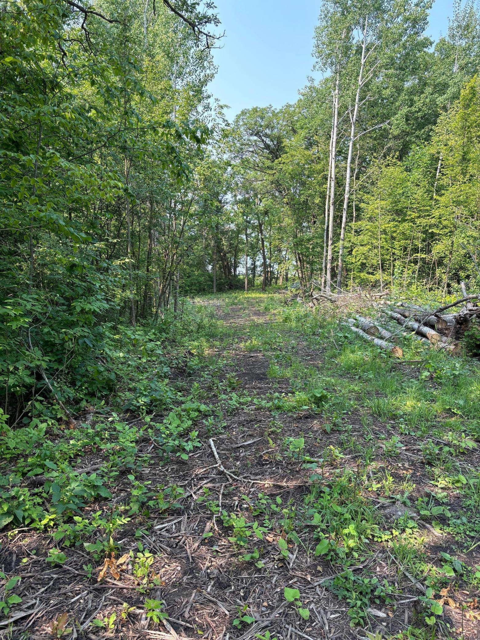 1246 Island Lake Resort DR, Lengby, MN 56651