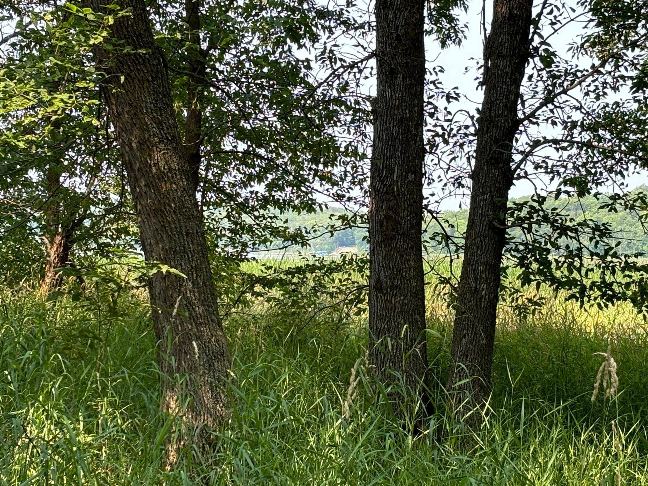 1250 Island Lake Resort DR, Lengby, MN 56651