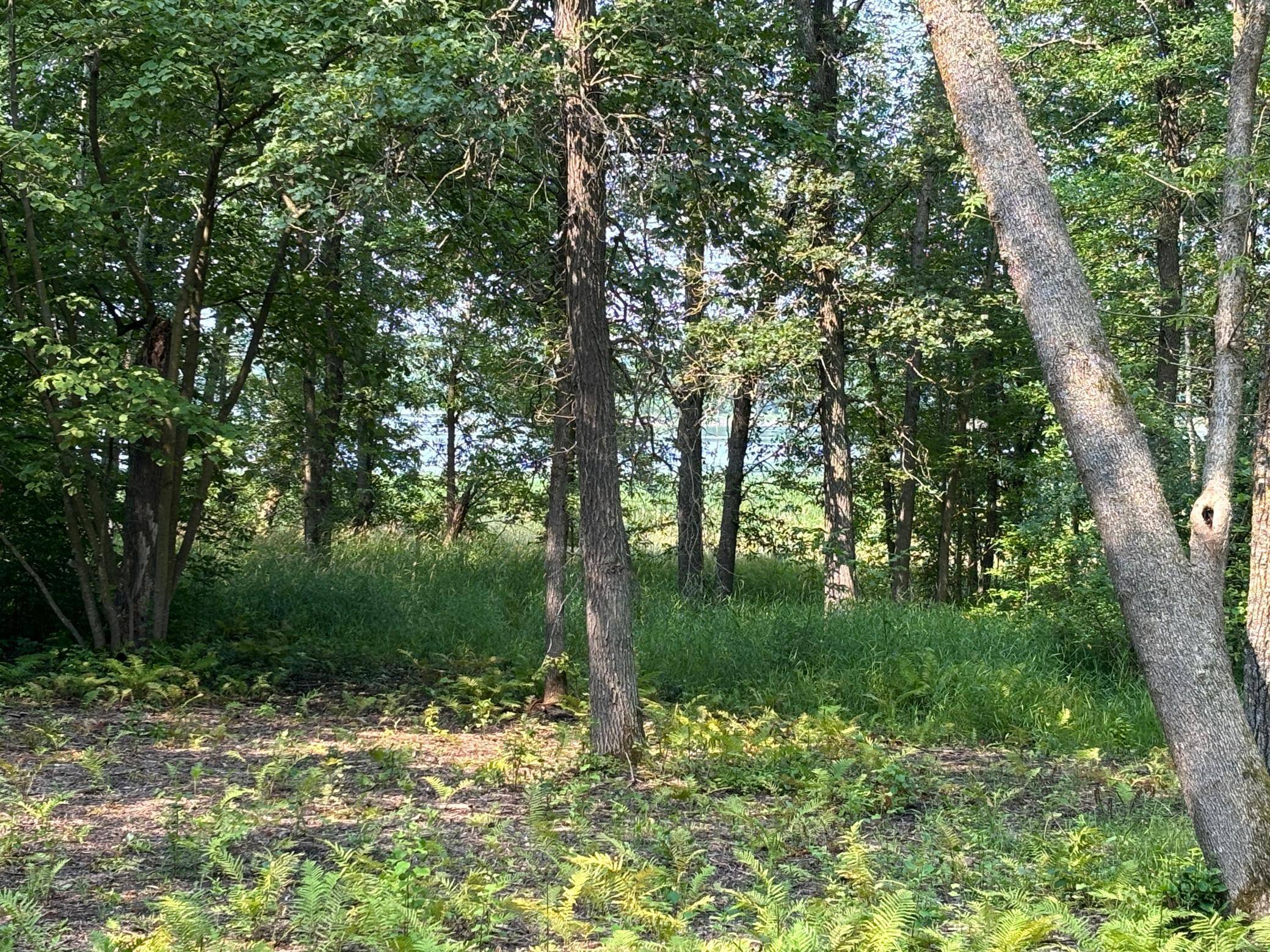 1250 Island Lake Resort DR, Lengby, MN 56651