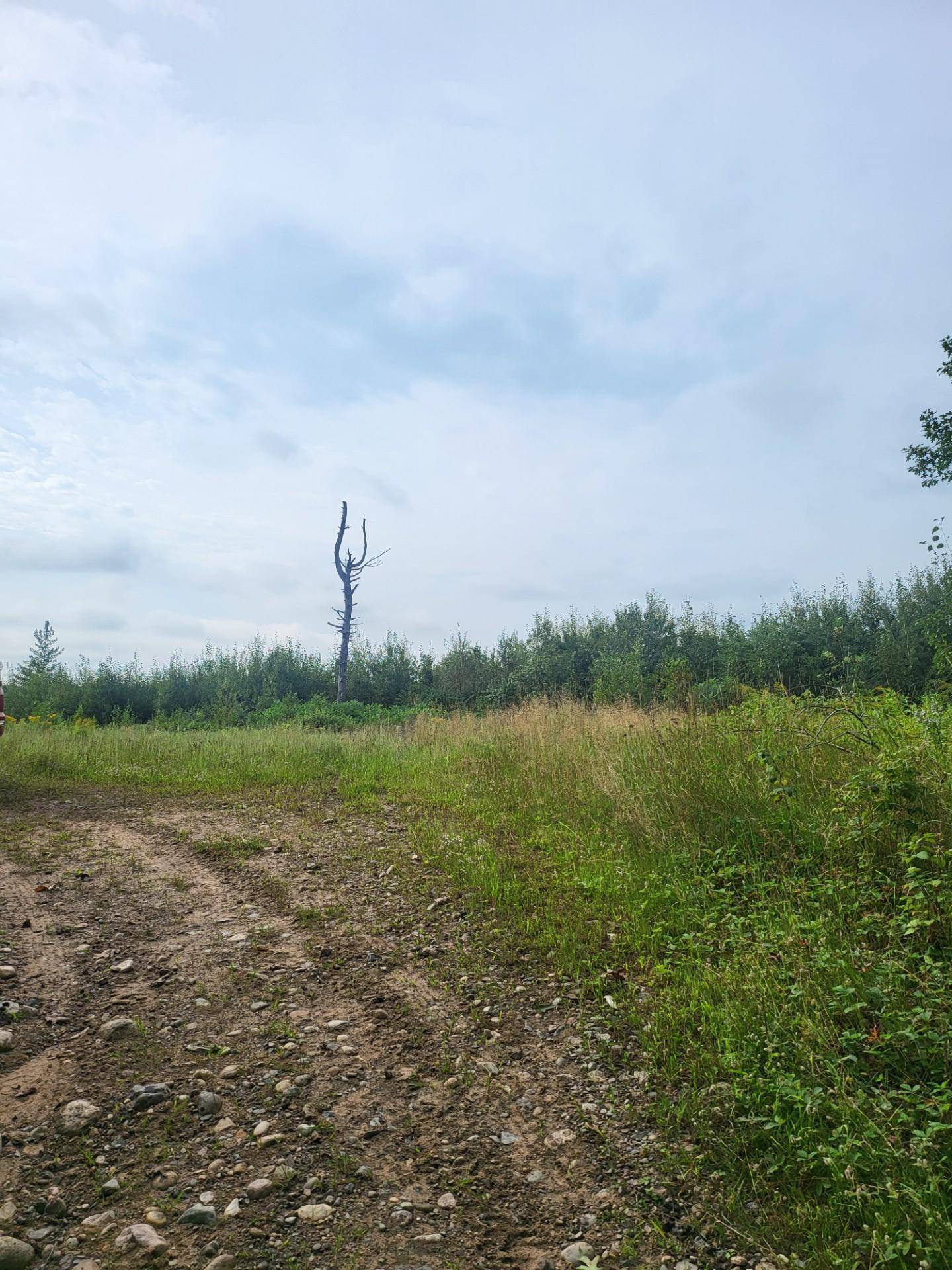 TBD Nokay Hall RD, Brainerd, MN 56401